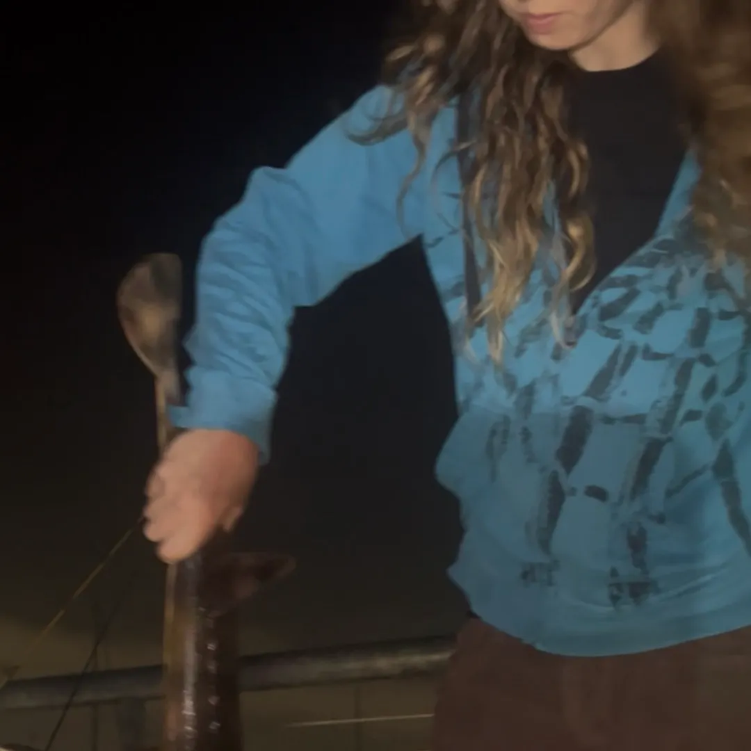 The most recent Banded guitarfish catches on Fishbrain