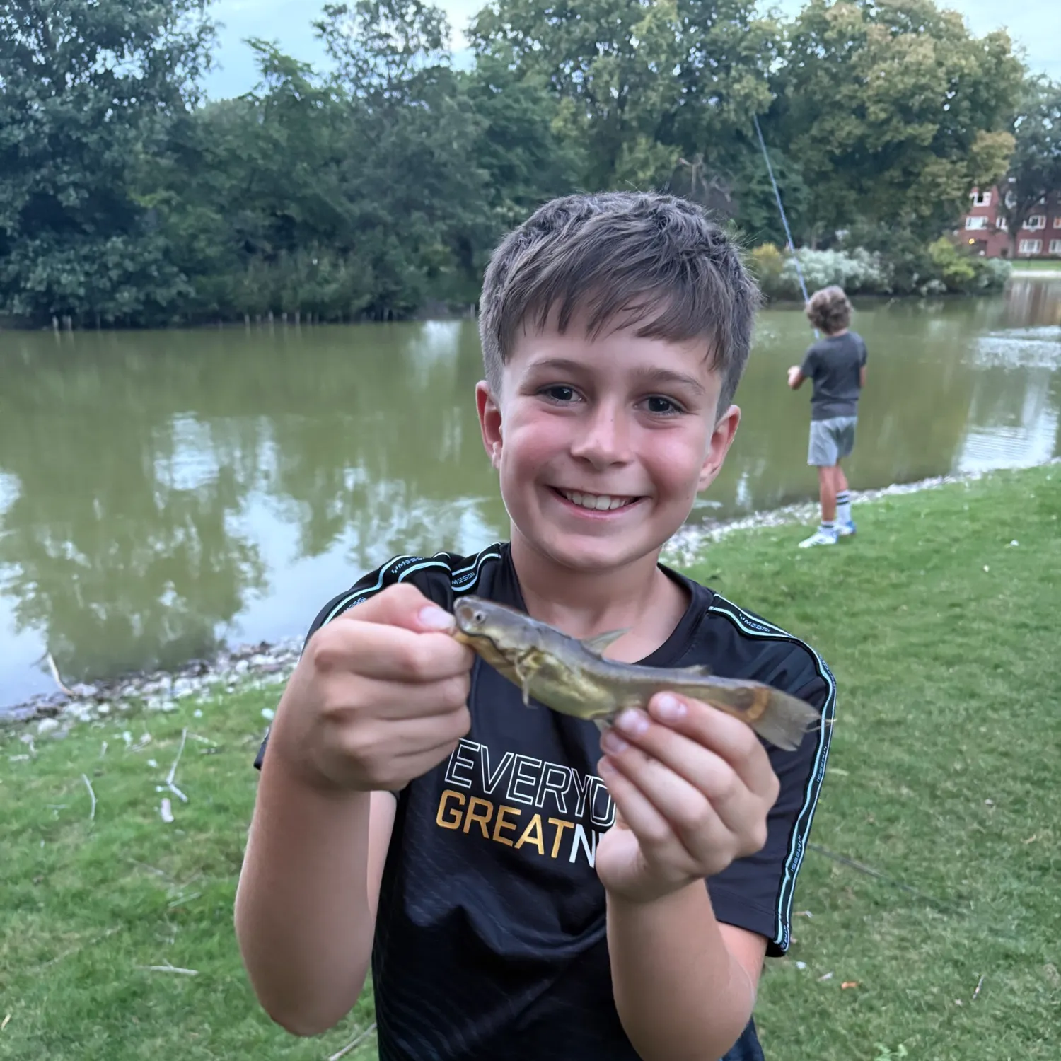 Yellow bullhead caught on Fishbrain
