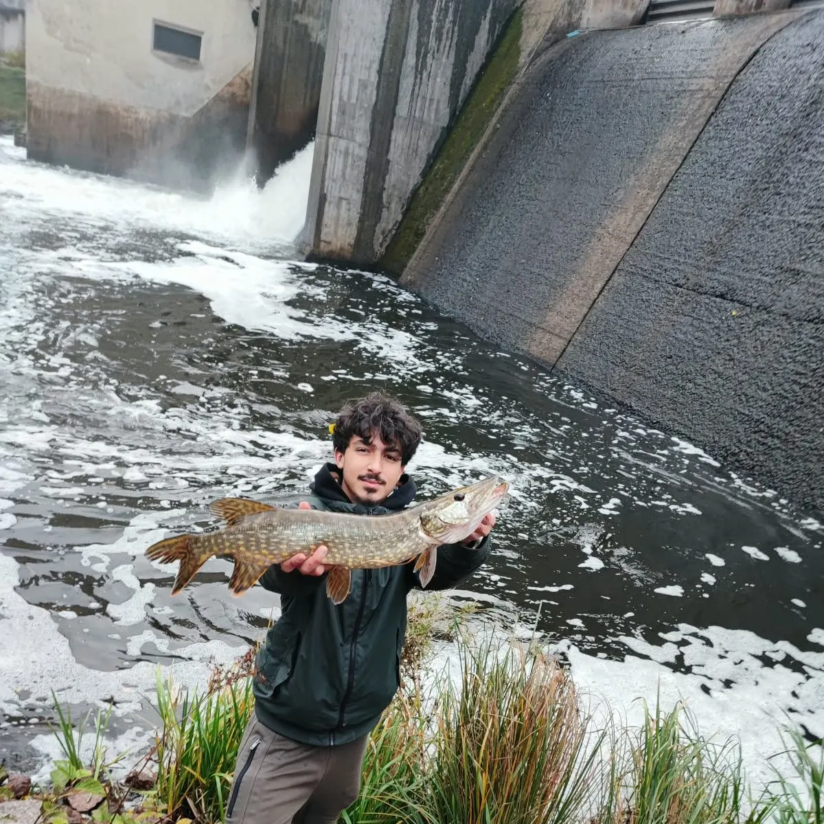 Northern pike caught on Fishbrain