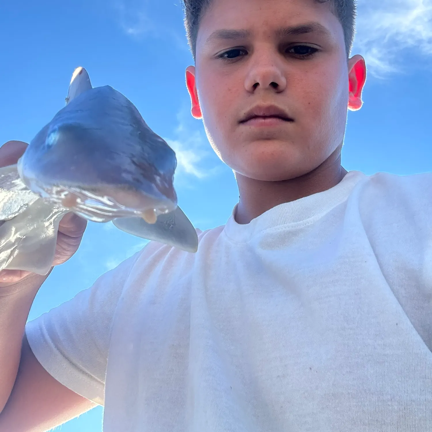 Fish caught on Fishbrain