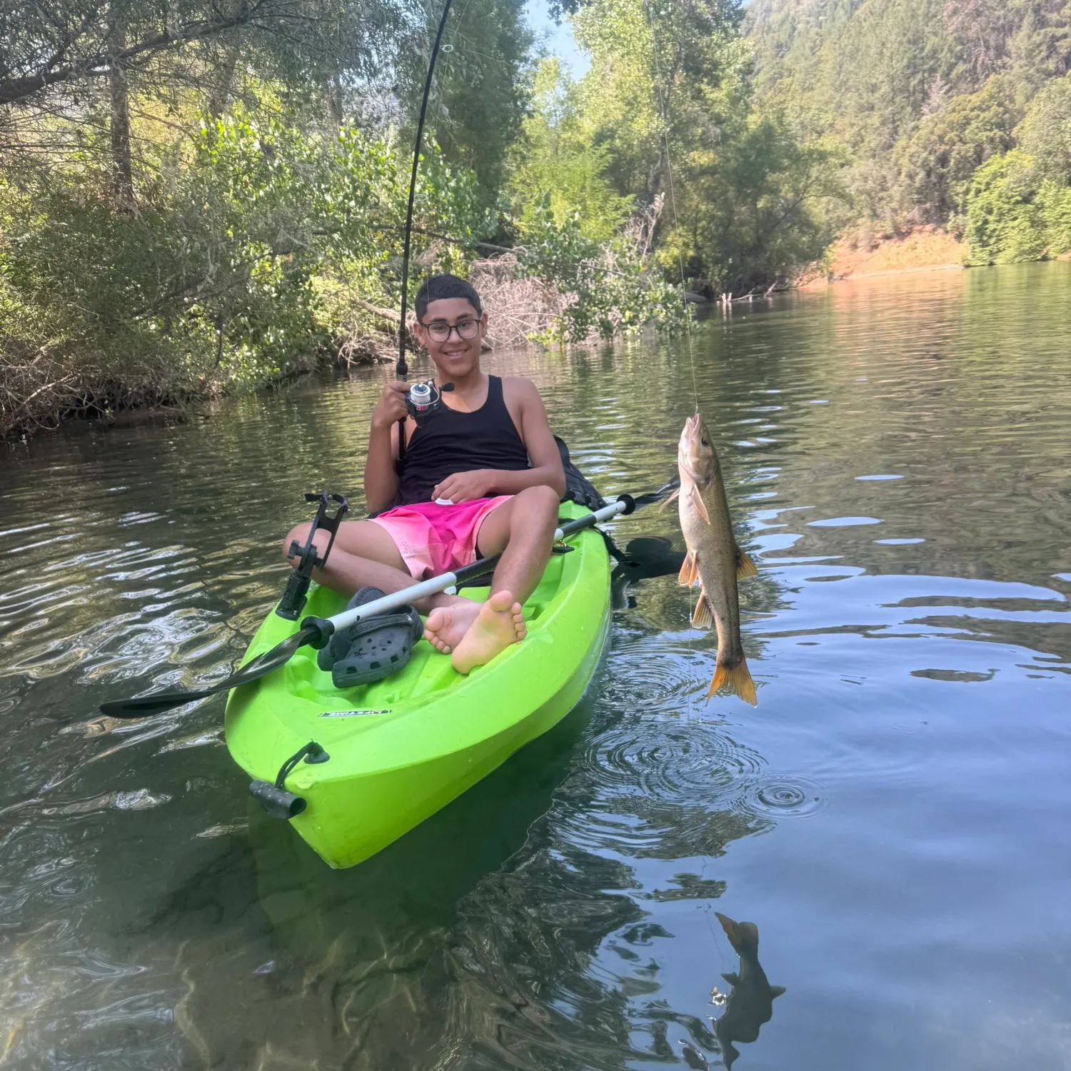 recently logged catches