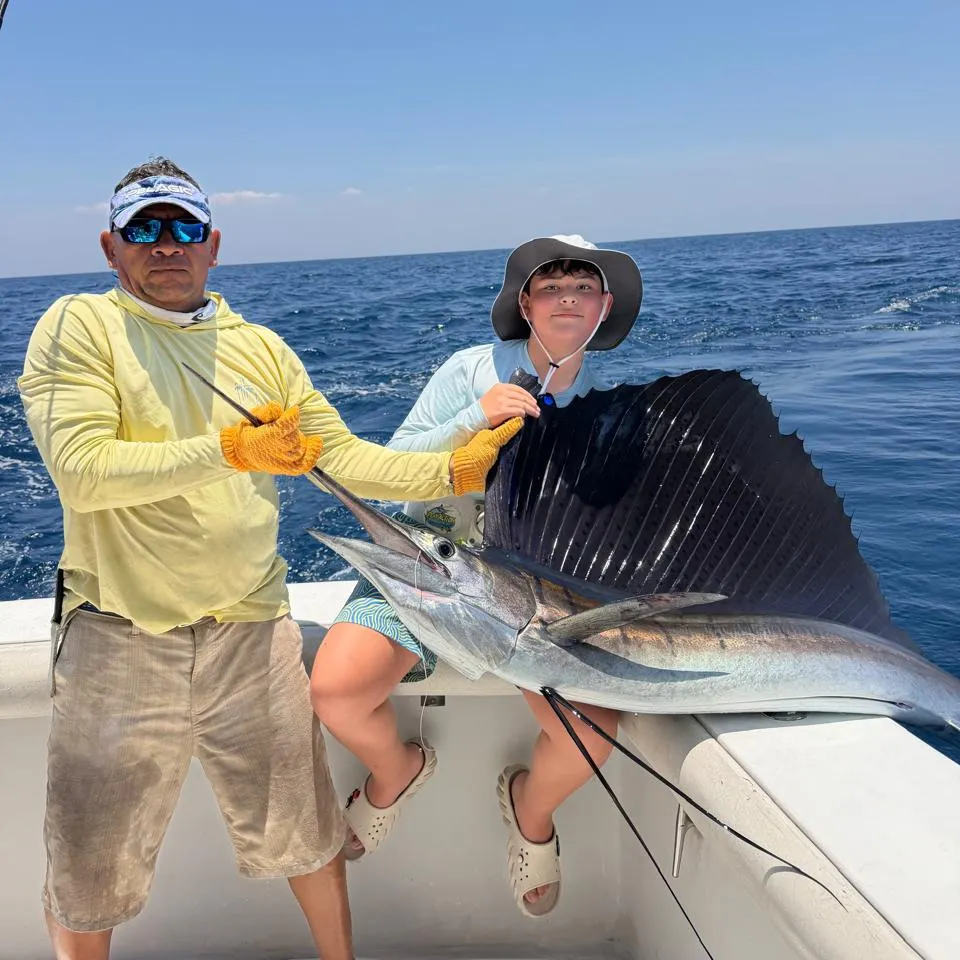 The most recent Indo-Pacific sailfish catches on Fishbrain