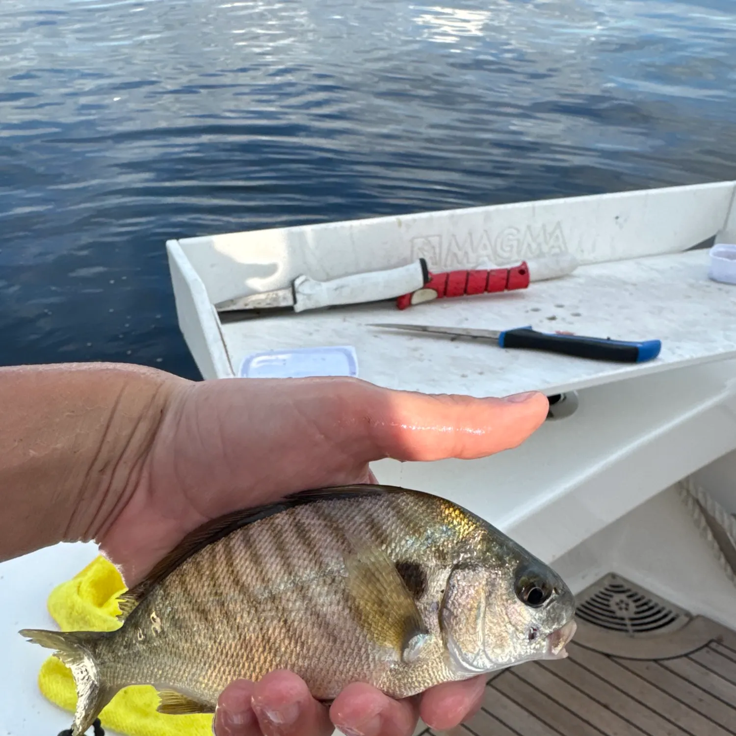 catch
