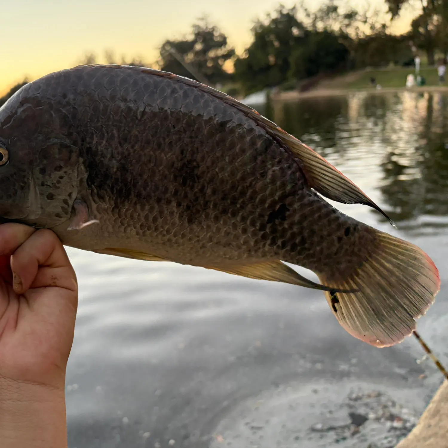 catch