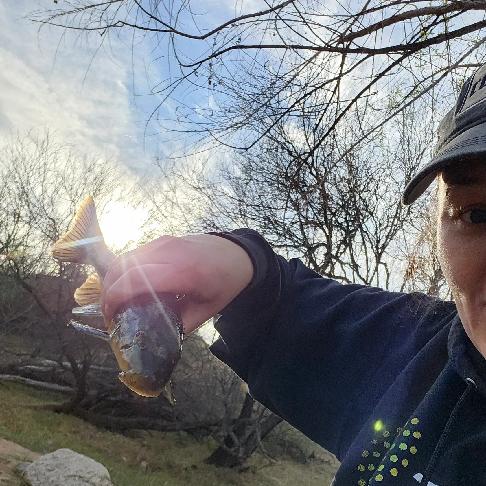 The most recent Sonora sucker catches on Fishbrain