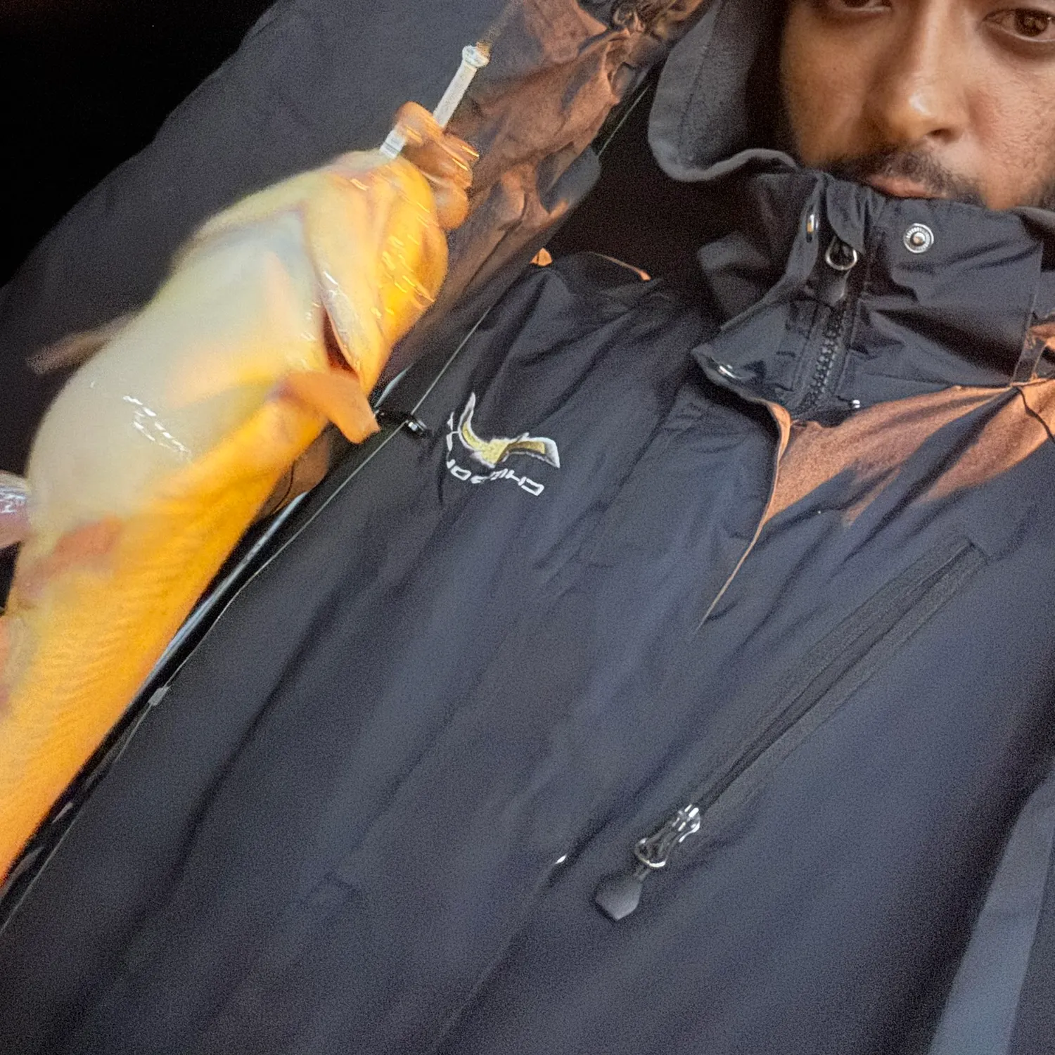 Yellow bullhead caught on Fishbrain