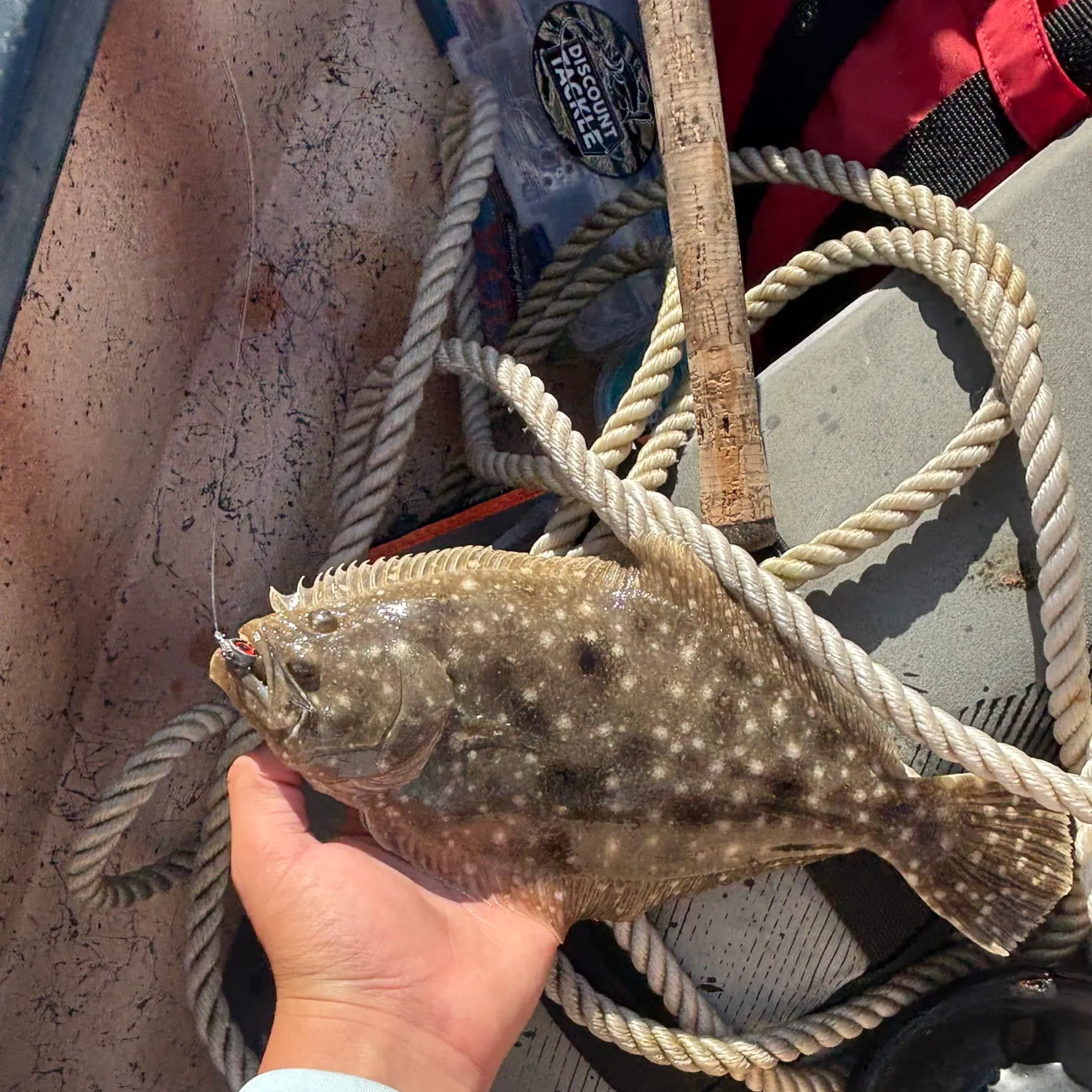 The most recent Pacific halibut catches on Fishbrain