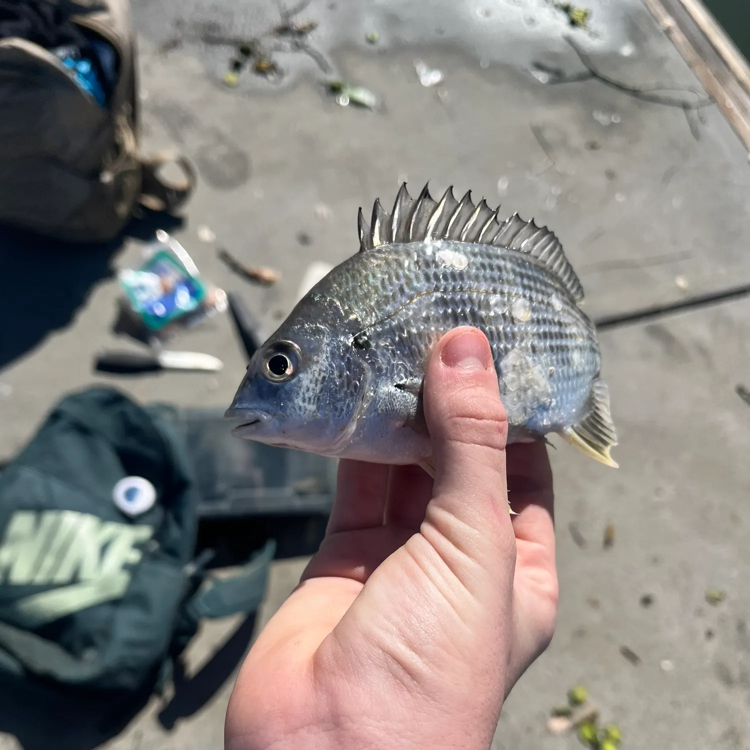 catch