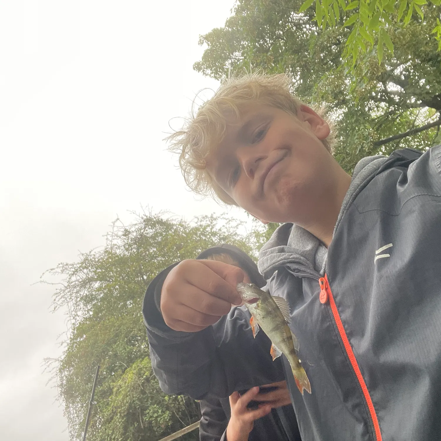 European perch caught on Fishbrain