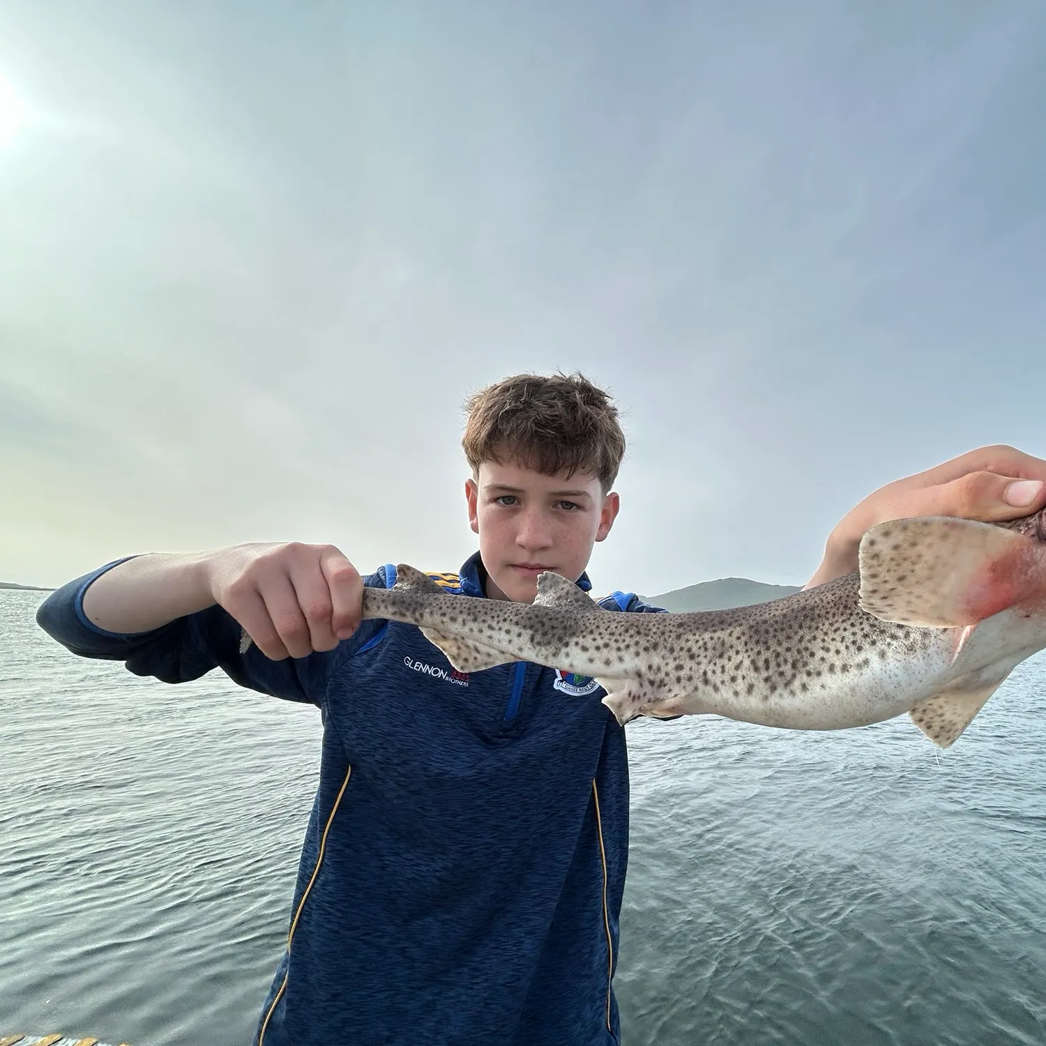 The most recent Nursehound catches on Fishbrain