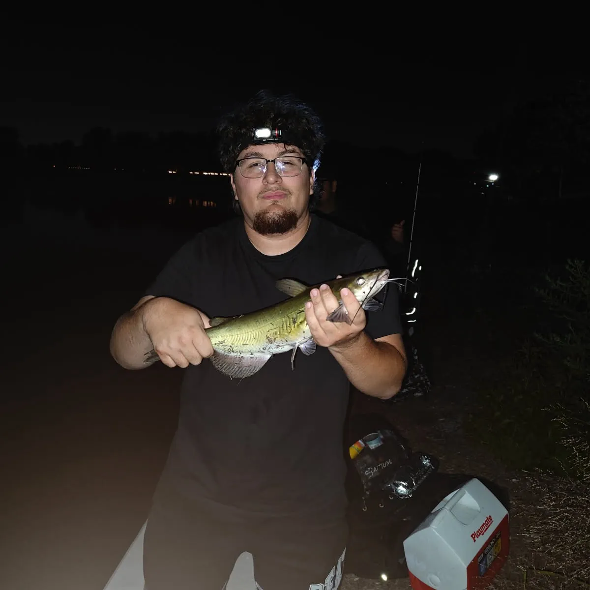 Channel catfish caught on Fishbrain