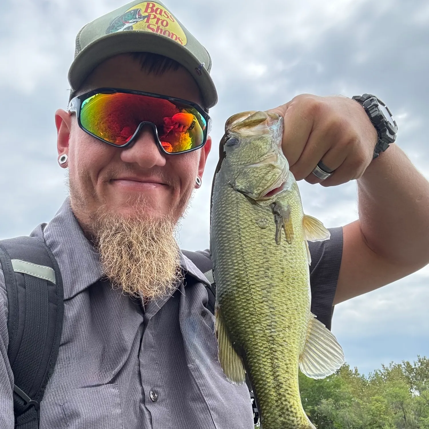 Largemouth bass caught on Fishbrain