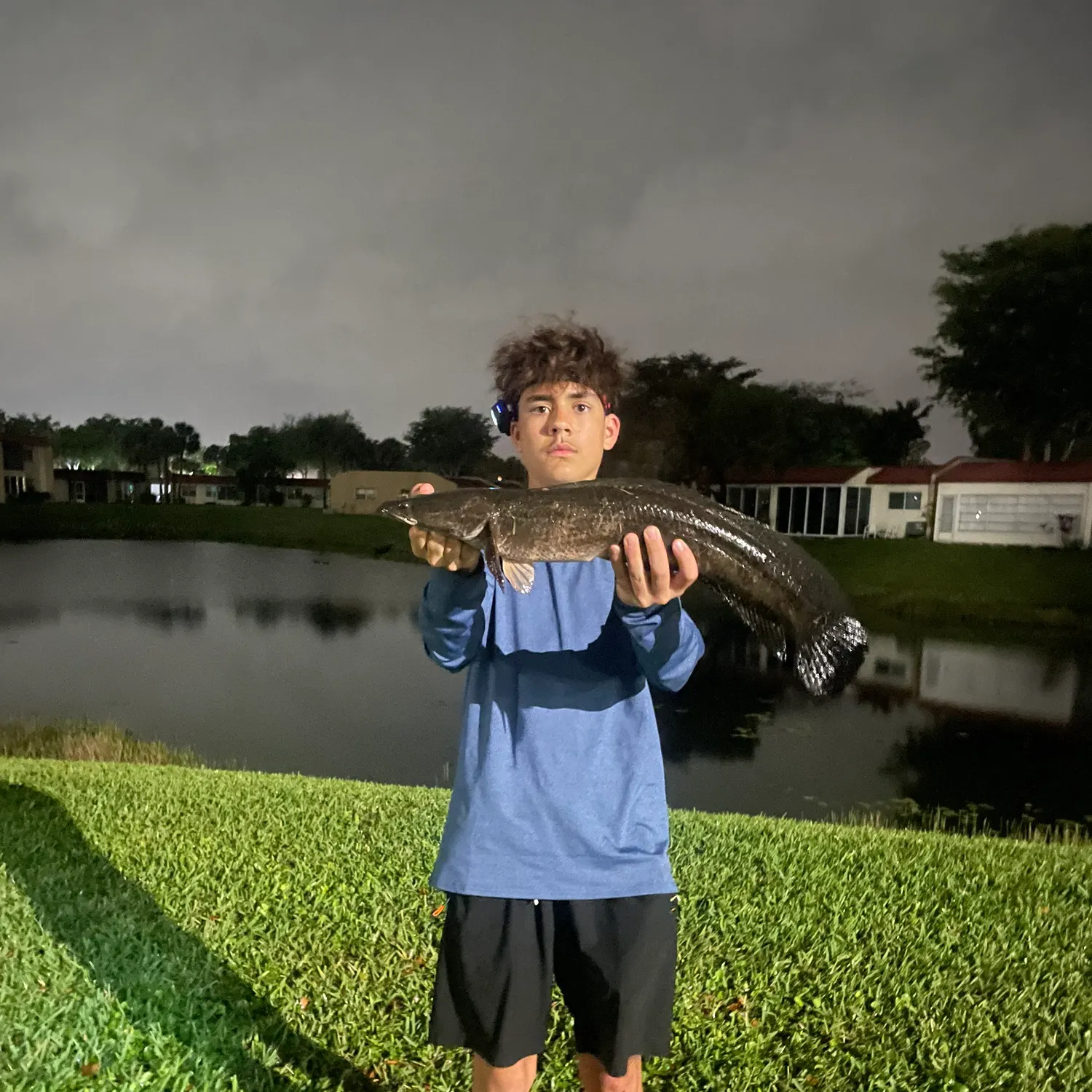 The most recent Bullseye snakehead catches on Fishbrain