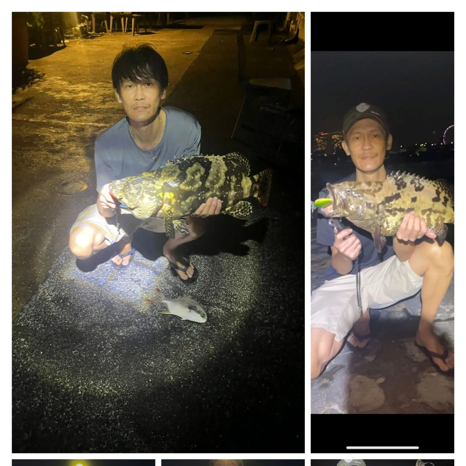 recently logged catches