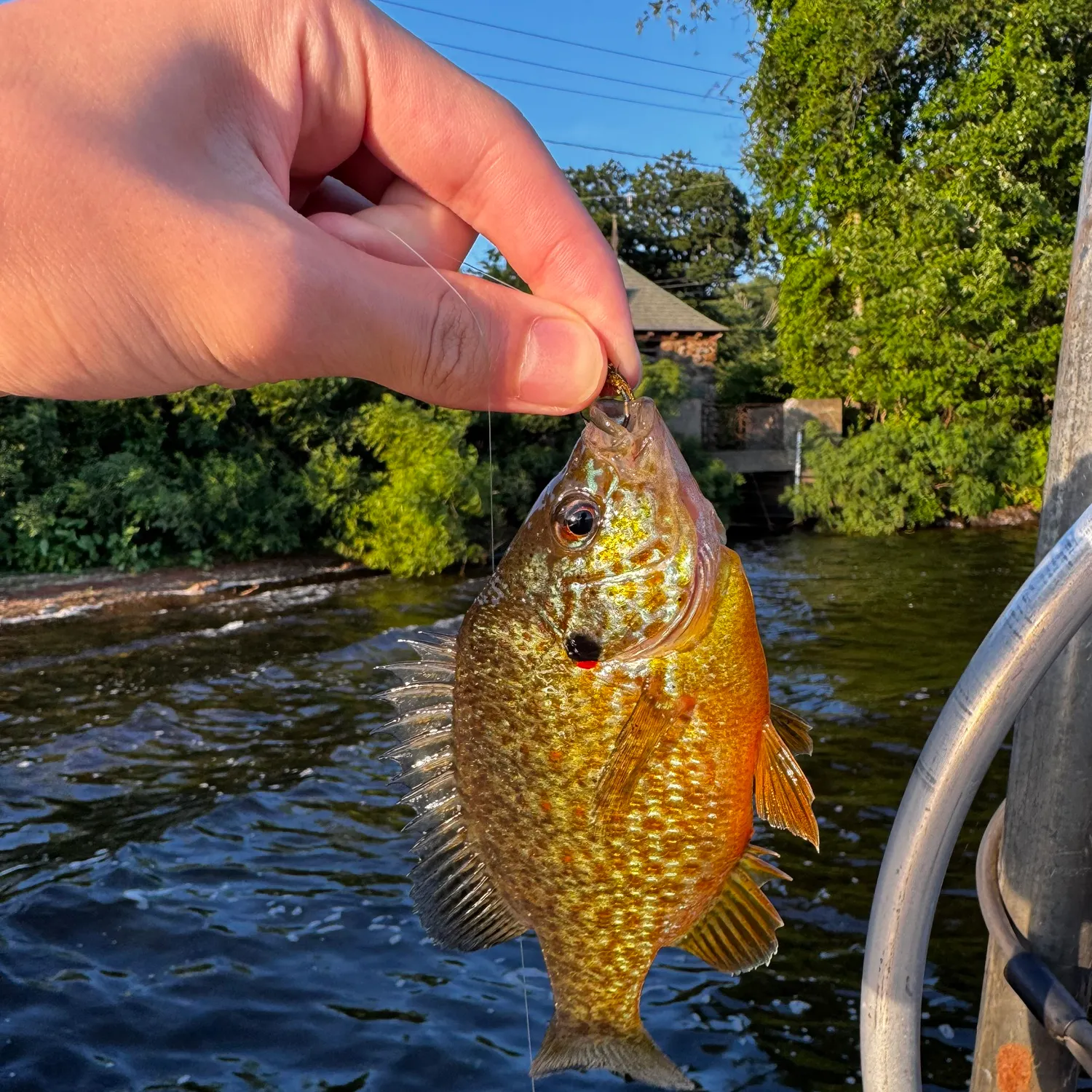 catch
