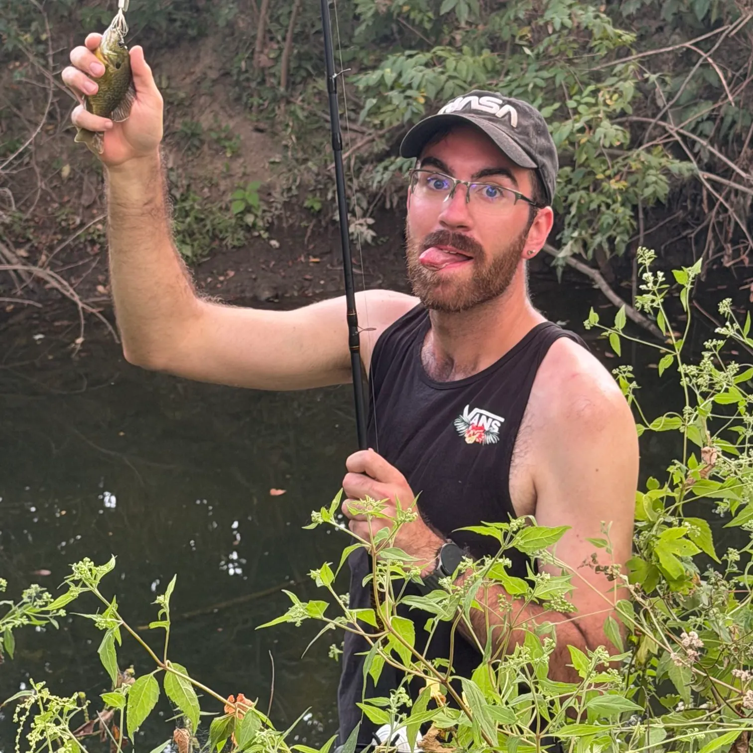 Green sunfish caught on Fishbrain