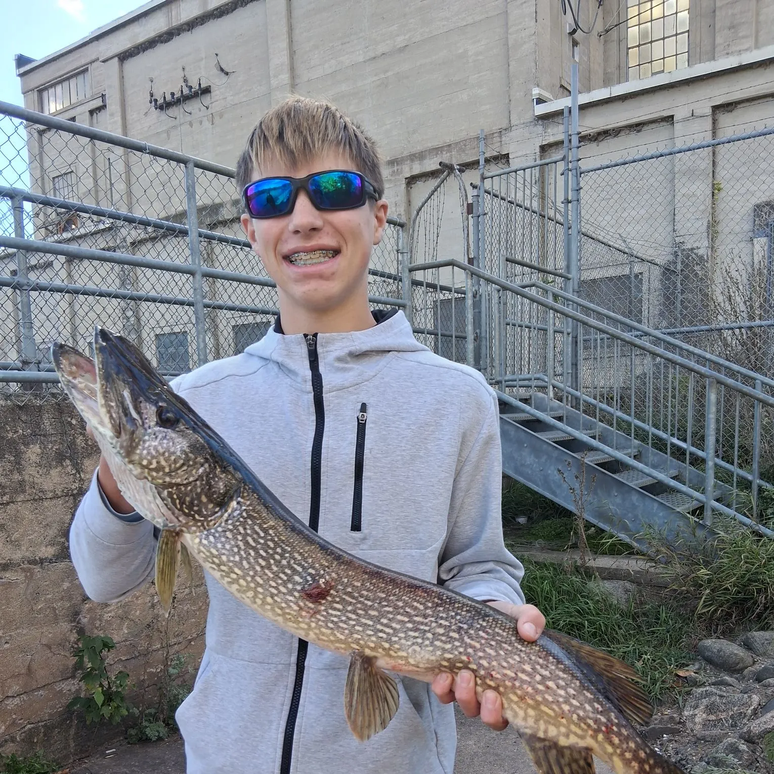 Northern pike caught on Fishbrain