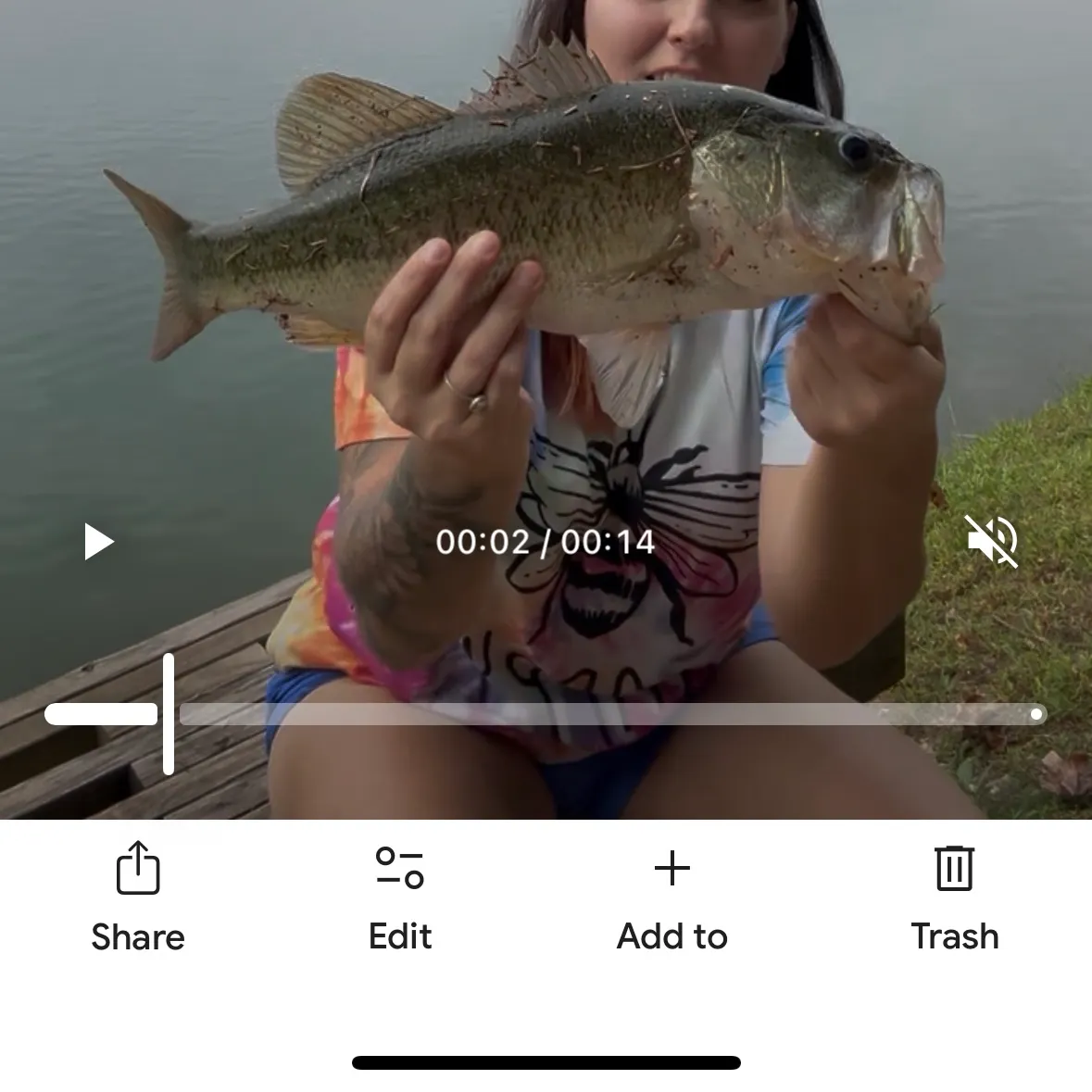 recently logged catches