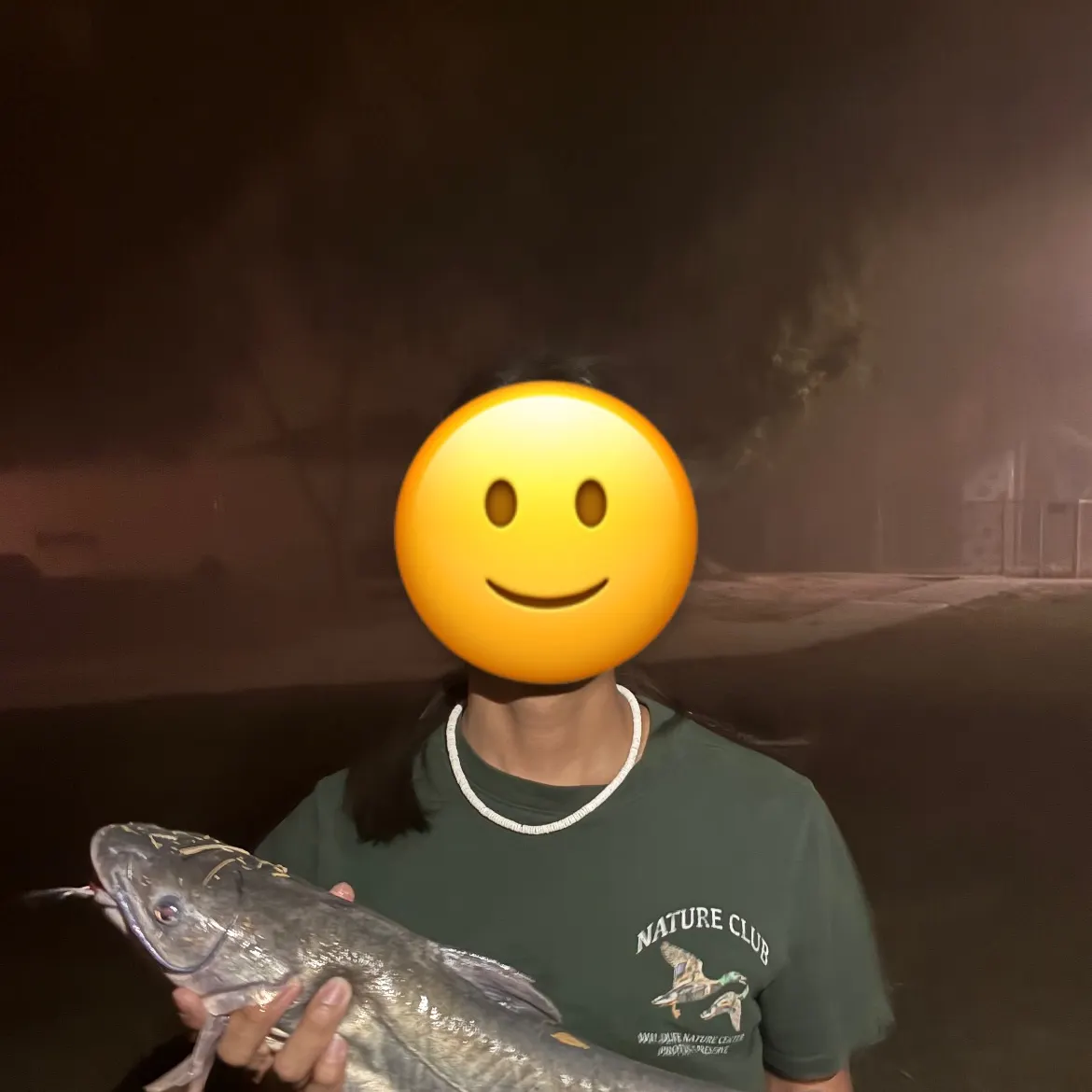 Channel catfish caught on Fishbrain