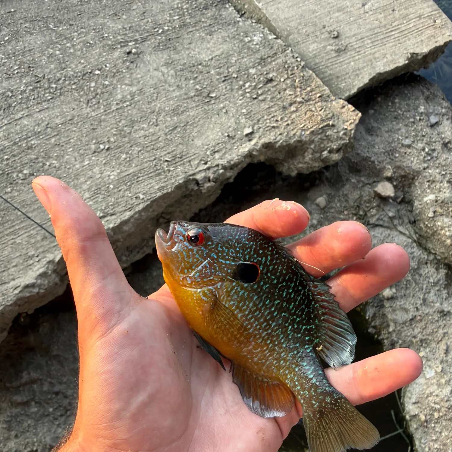 catch