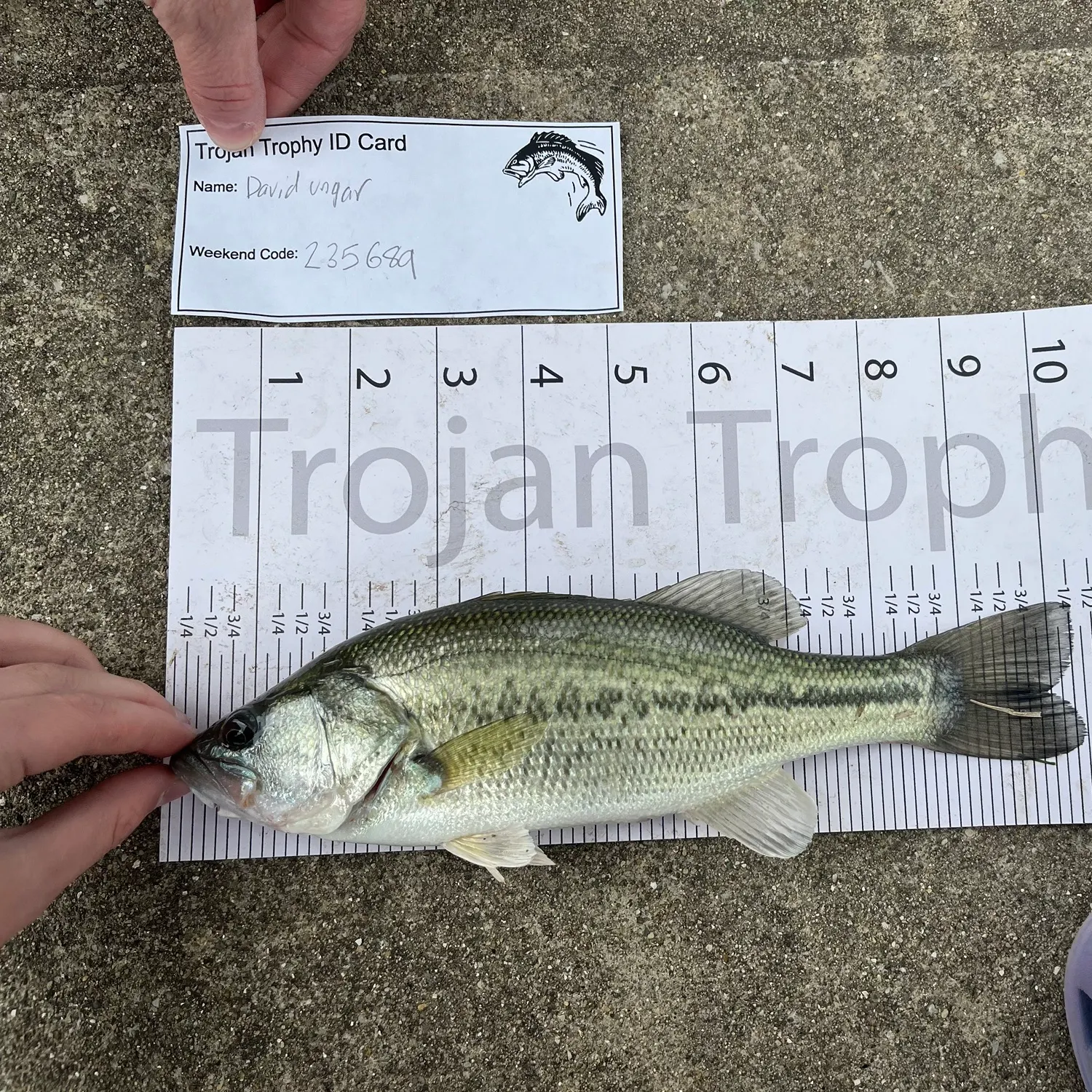 recently logged catches