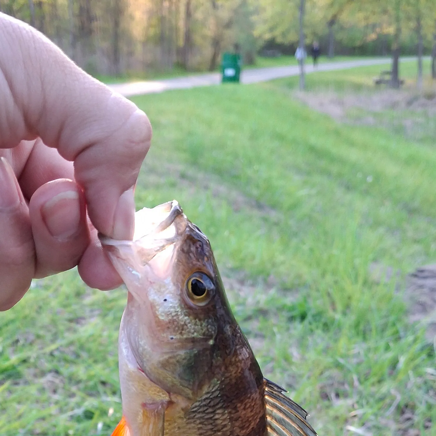 catch