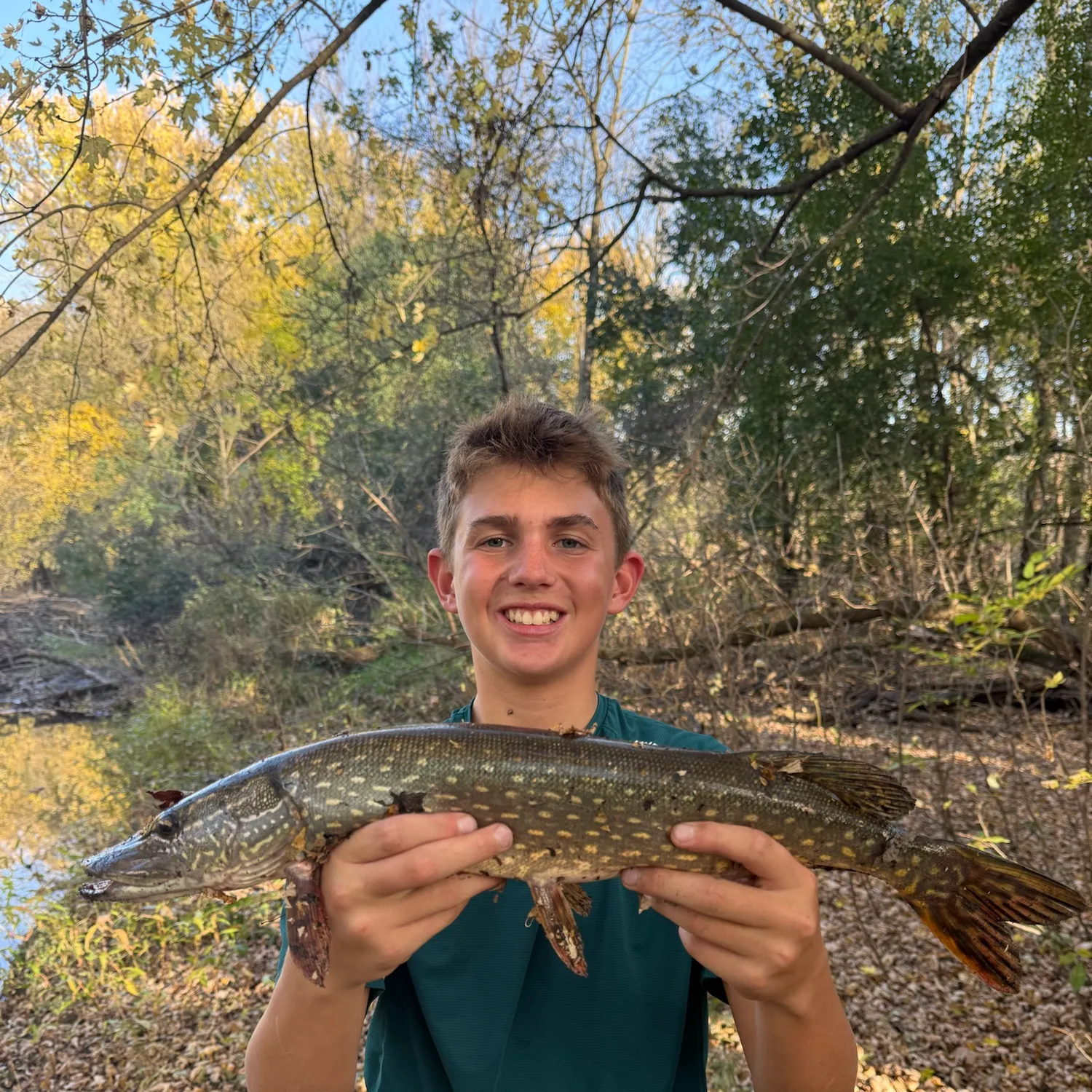 Northern pike caught on Fishbrain