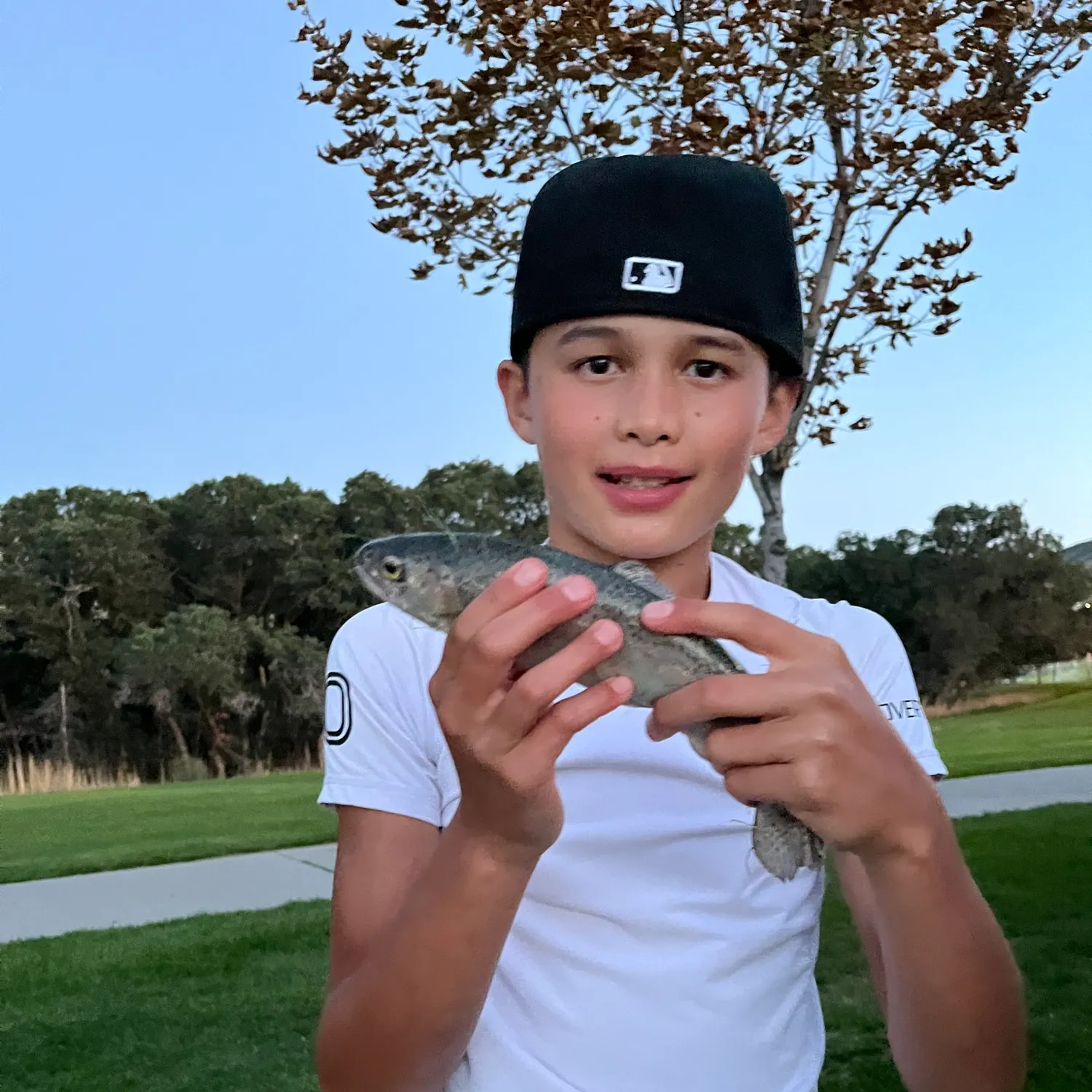 Rainbow trout caught on Fishbrain