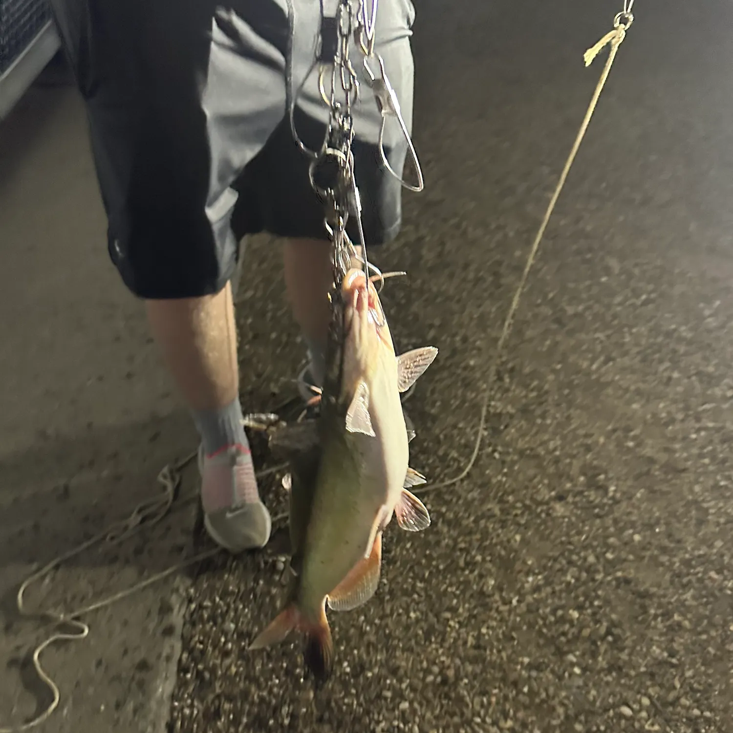ᐅ Oahe Downstream Recreation Area Archery Range fishing reports🎣• Oahe ...