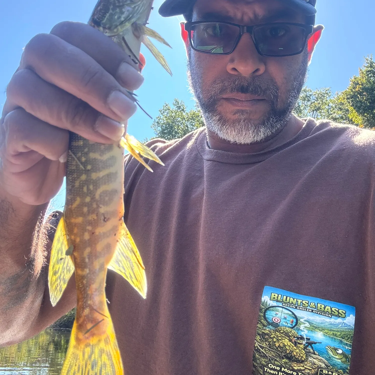 Northern pike caught on Fishbrain