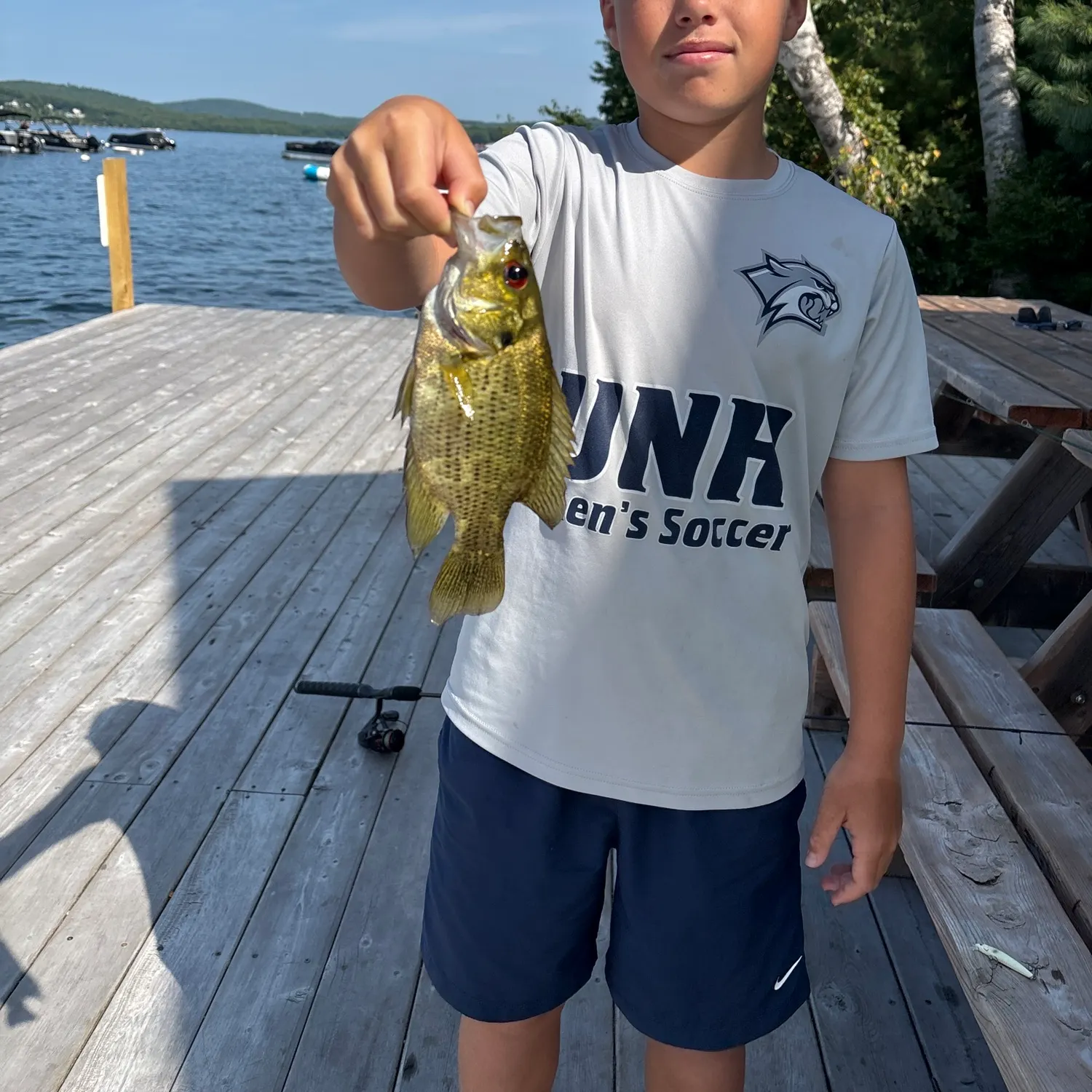 Rock bass caught on Fishbrain