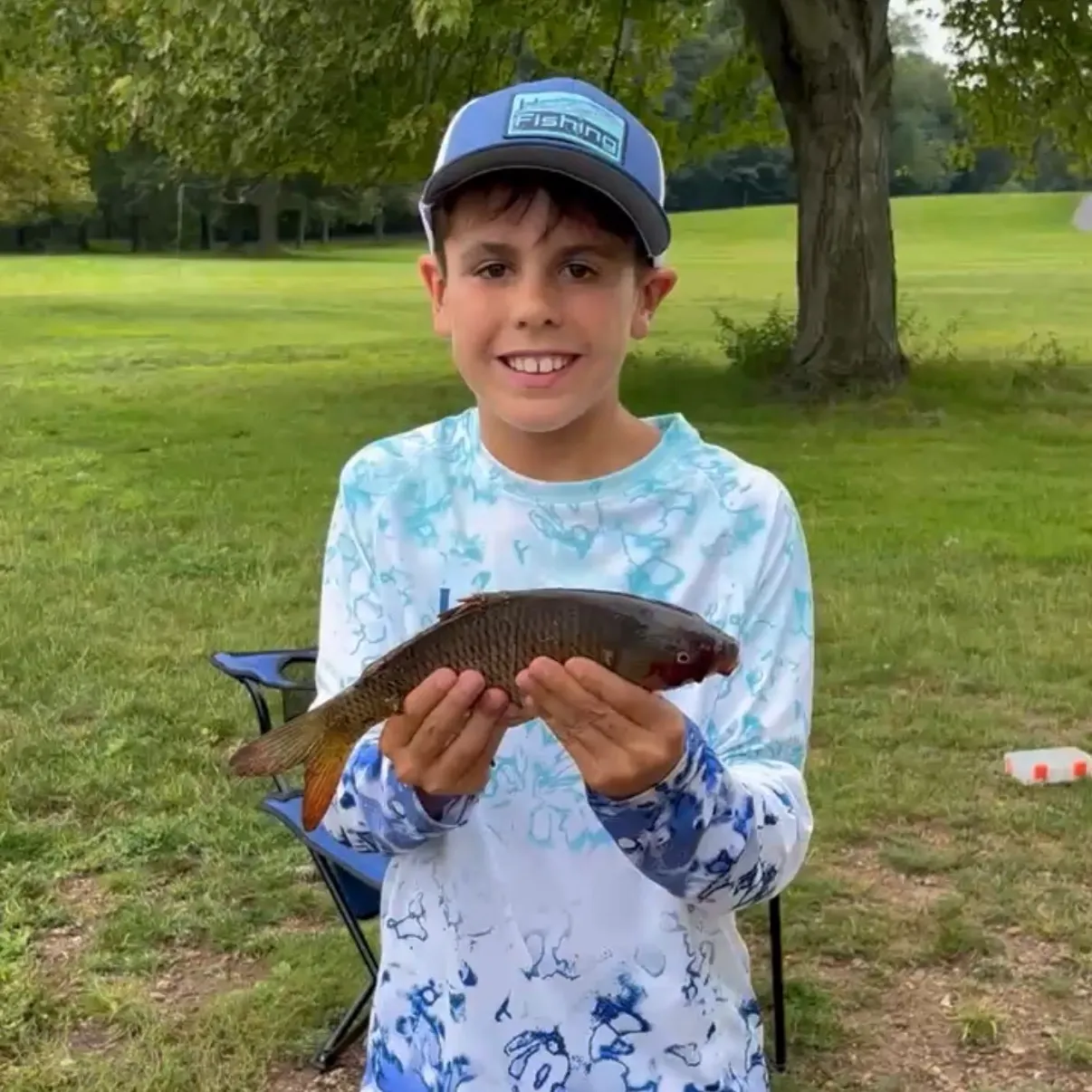 Common carp caught on Fishbrain
