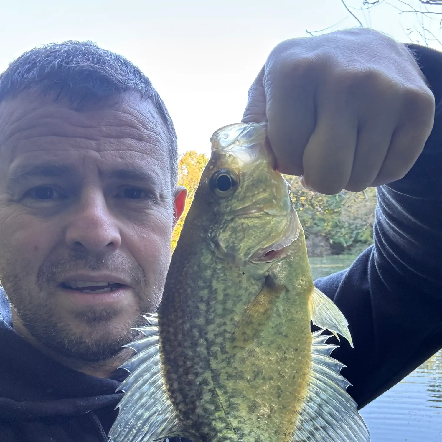 Black crappie caught on Fishbrain
