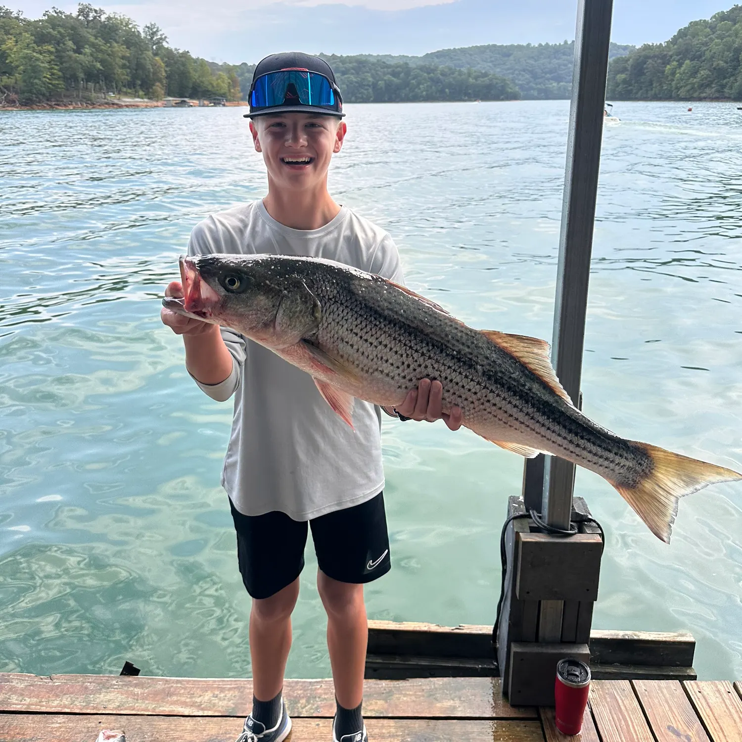 Striped bass caught on Fishbrain