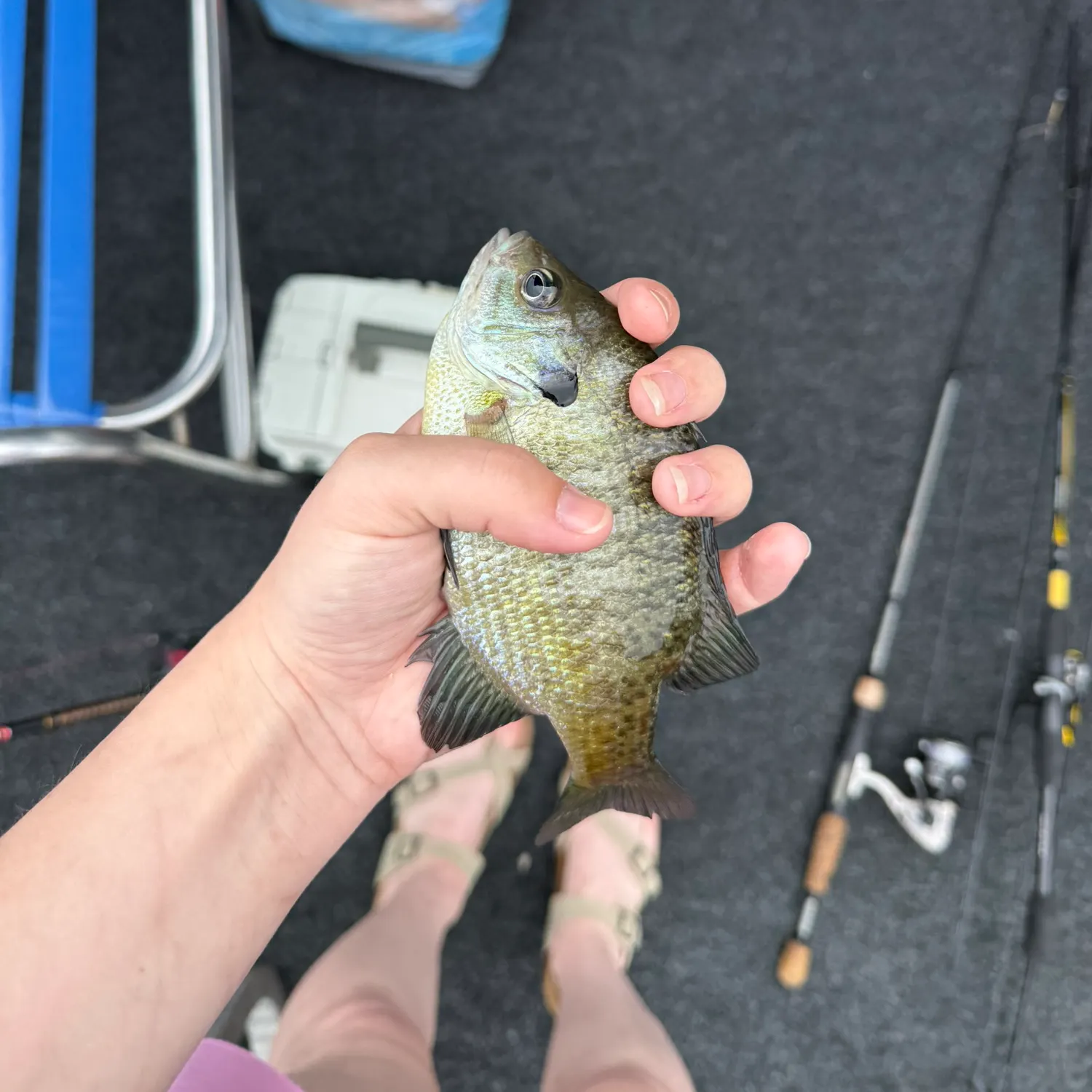 catch