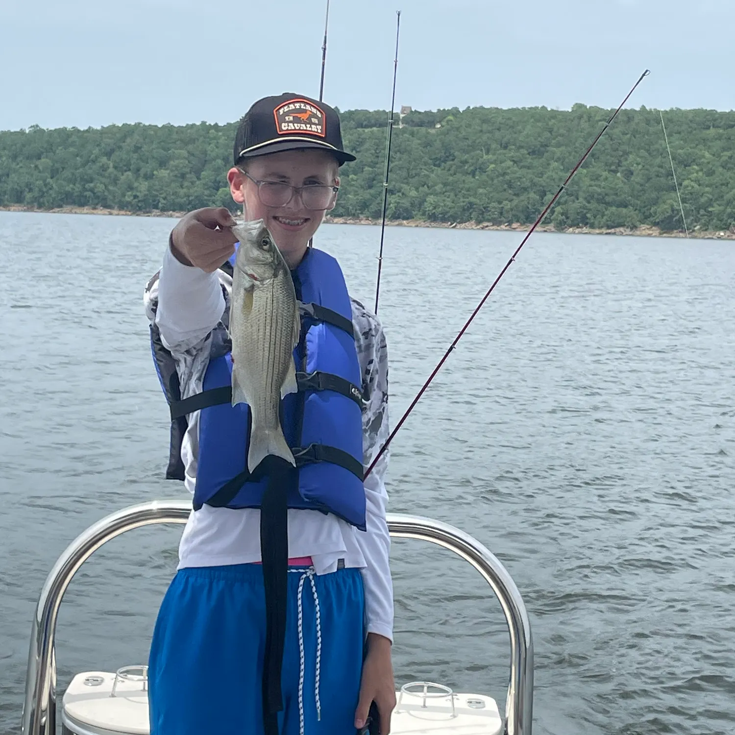 The most recent White bass catches on Fishbrain