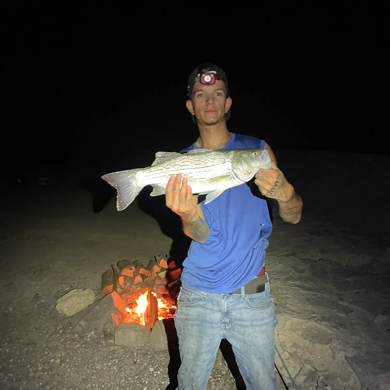 The most recent Wiper catches on Fishbrain