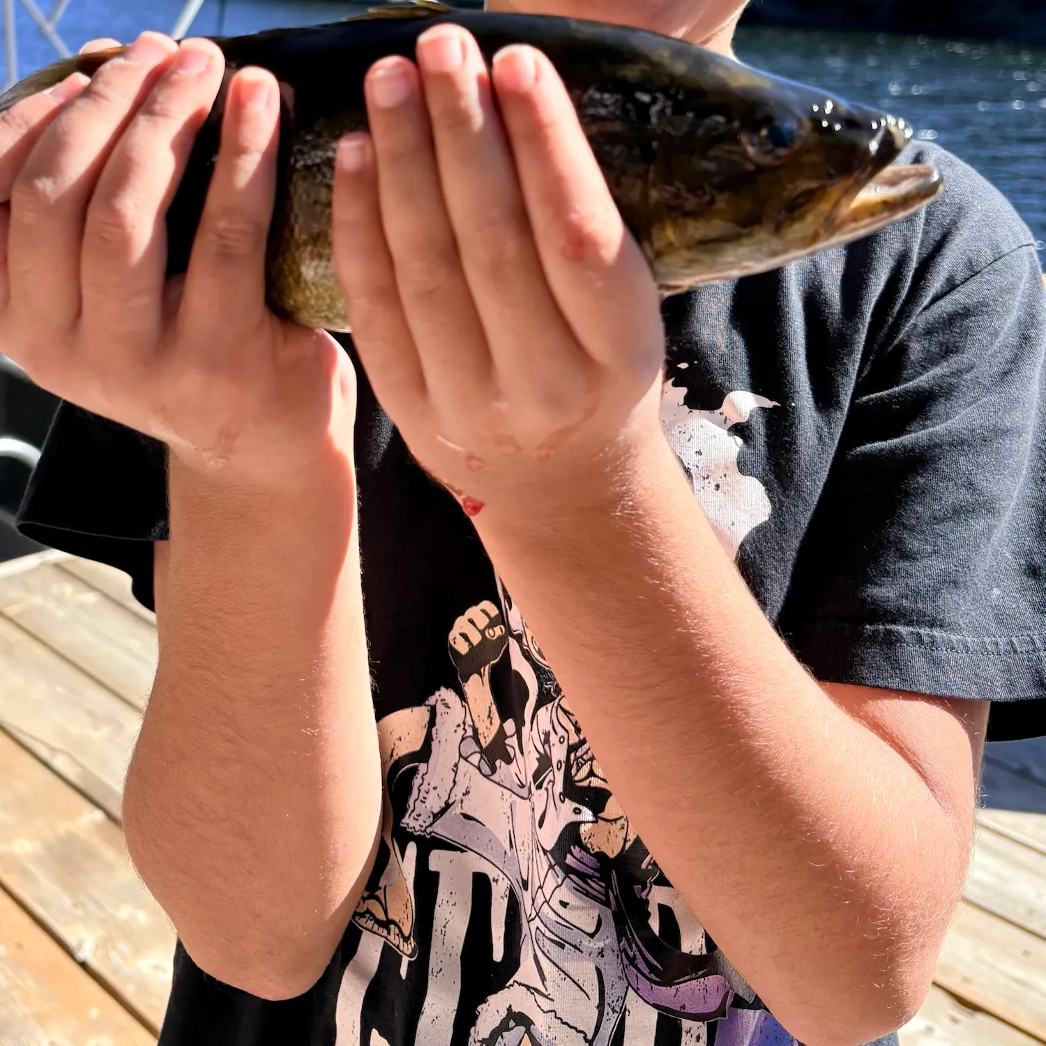 Smallmouth bass caught on Fishbrain