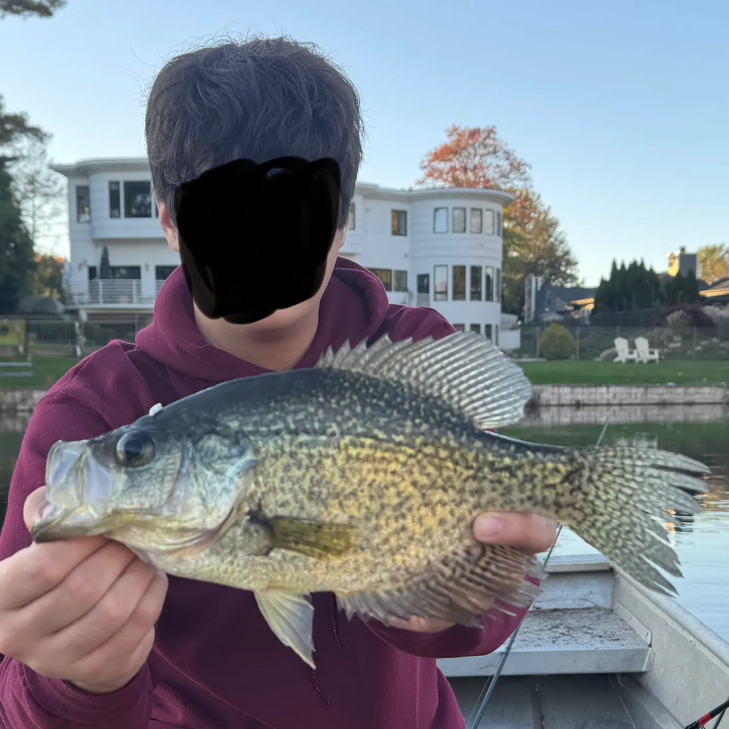 Black crappie caught on Fishbrain
