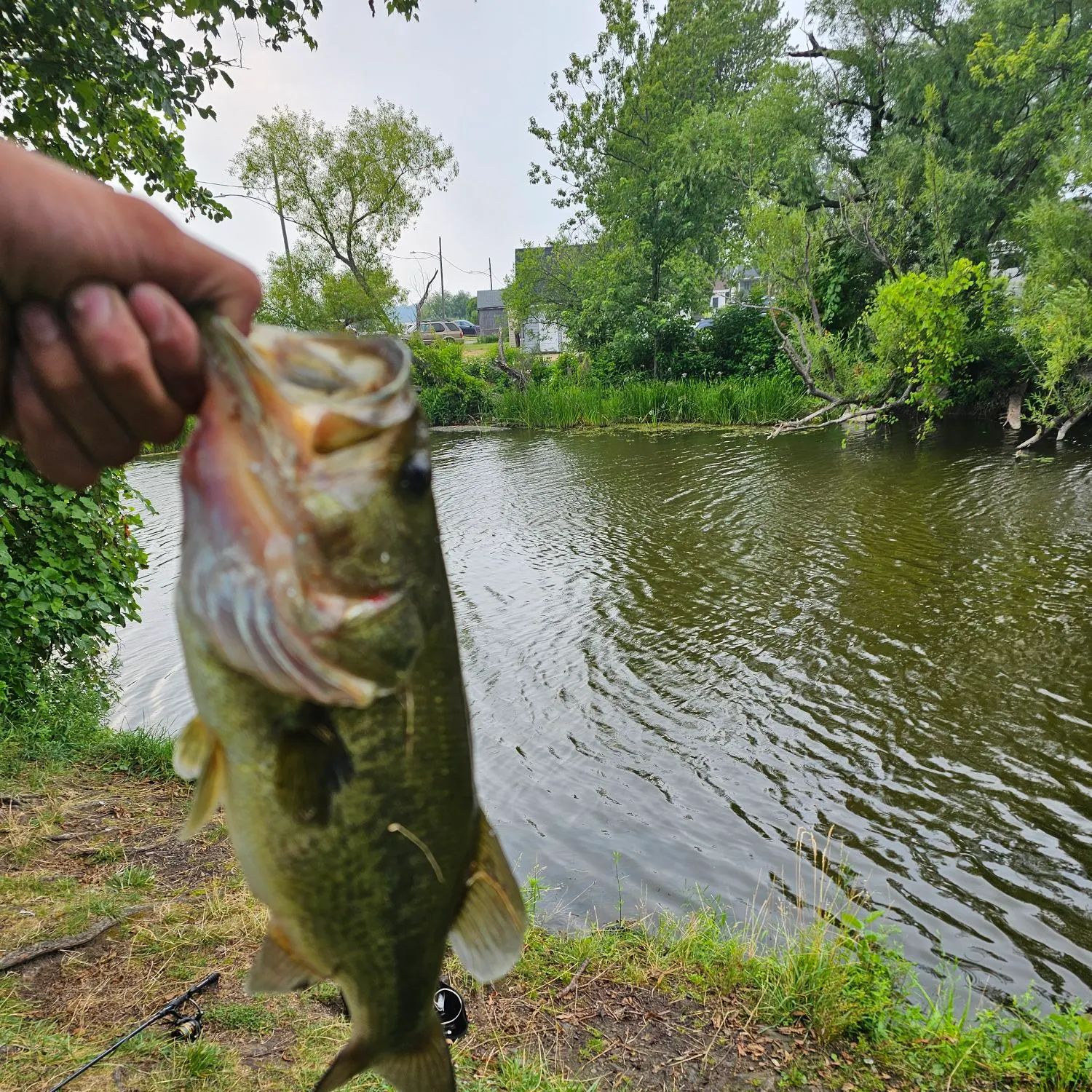 Fishing in Rochester, NY (United States) ️️️️ Find Spots, Species & Tips