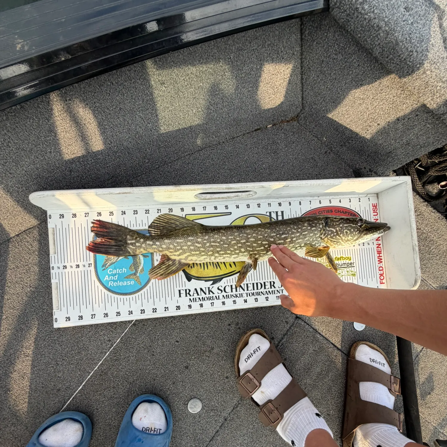 recently logged catches