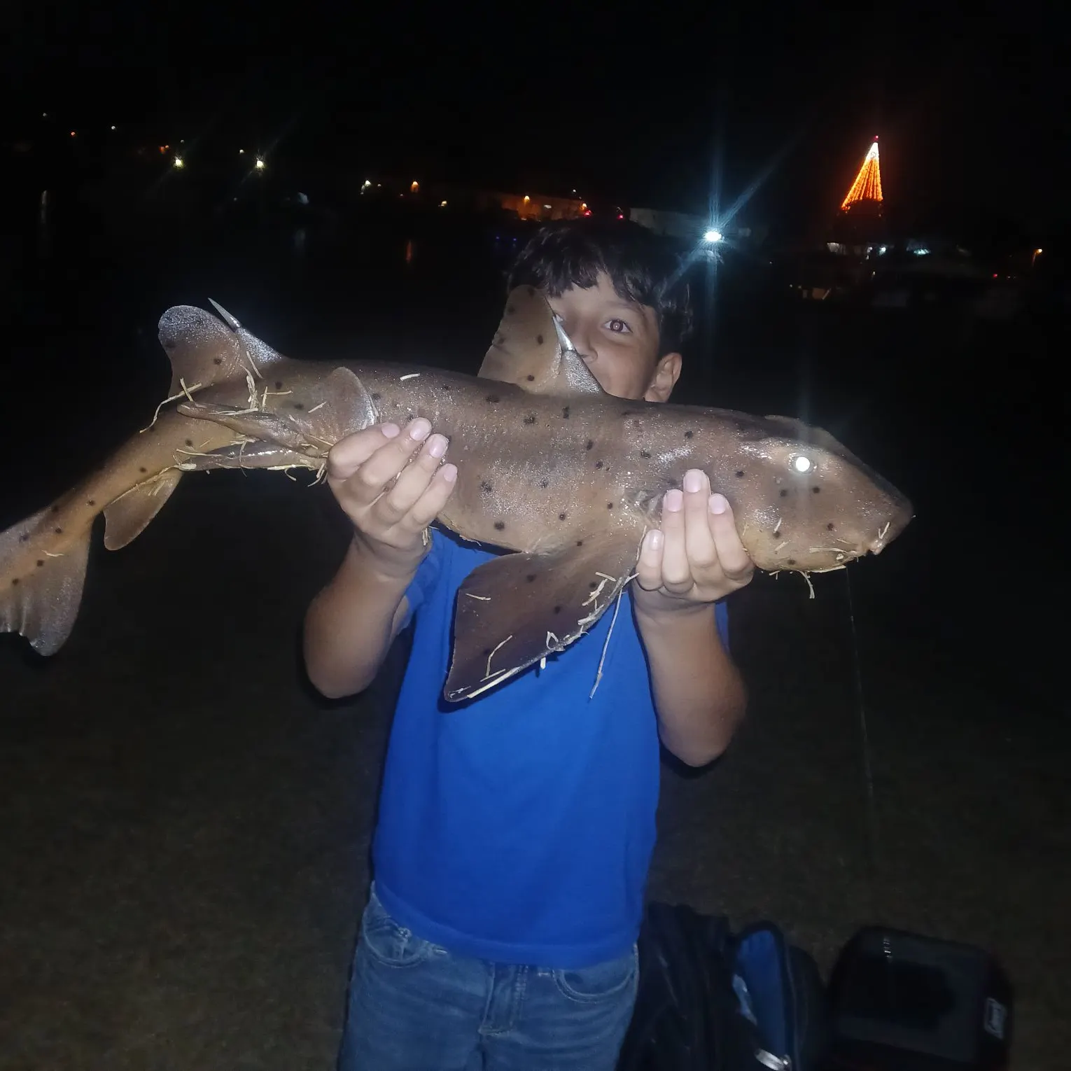 The most recent Horn shark catches on Fishbrain