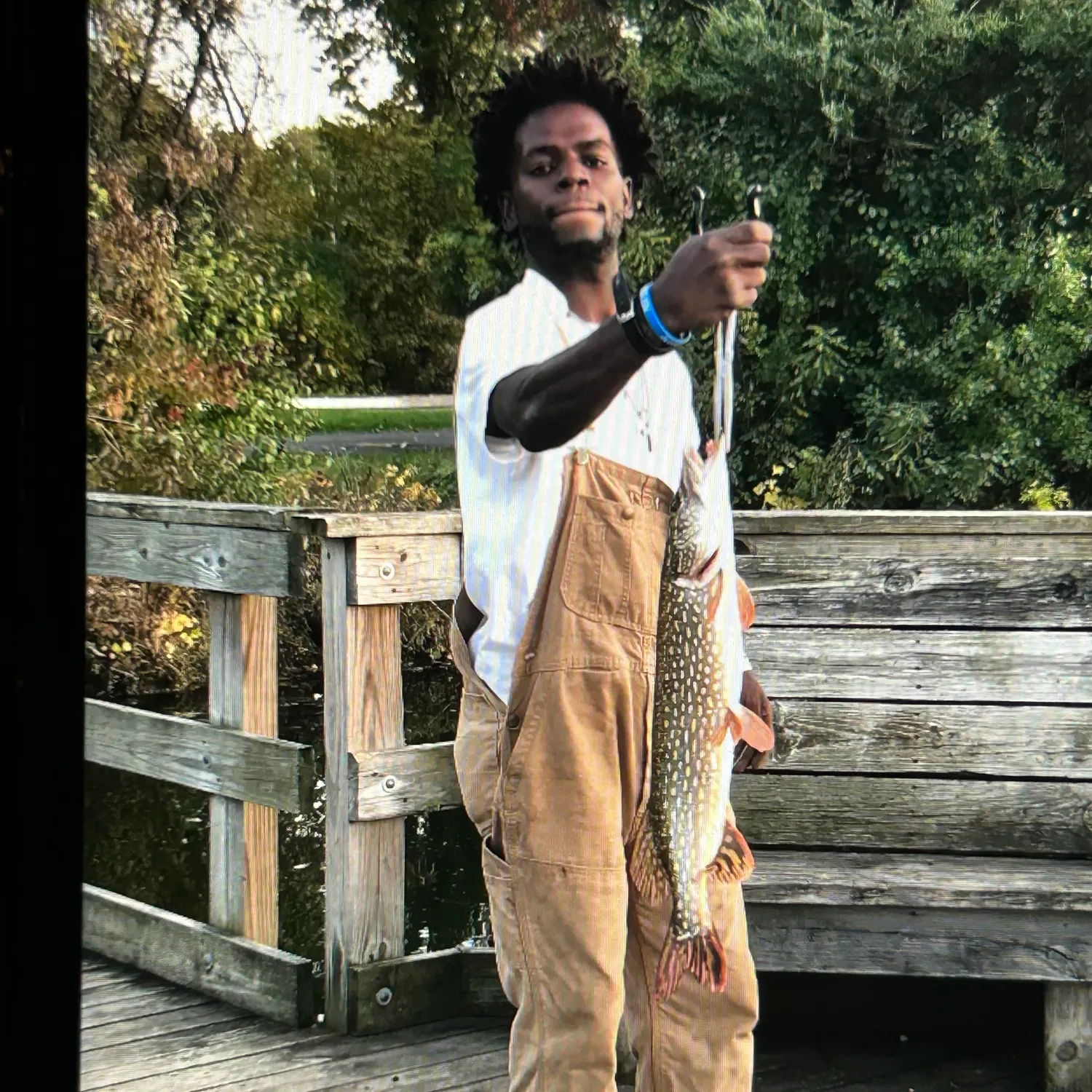 Fish caught on Fishbrain