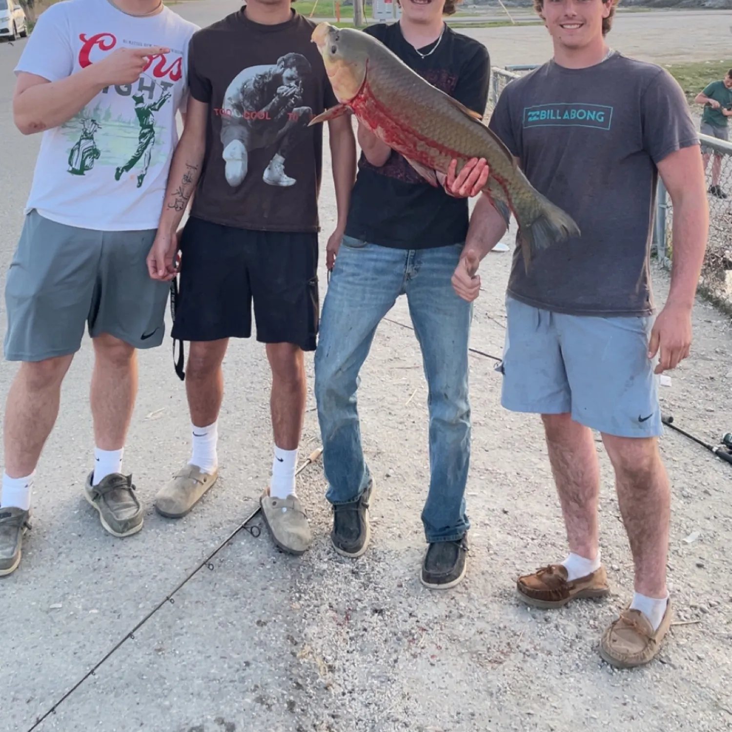 recently logged catches