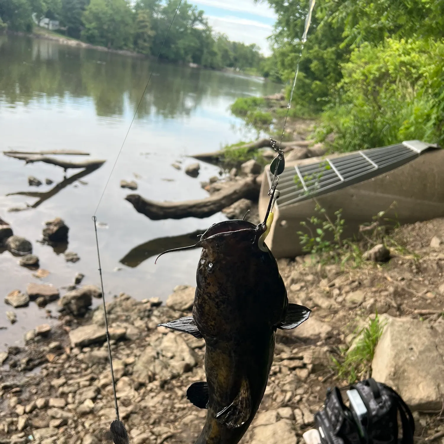 catch