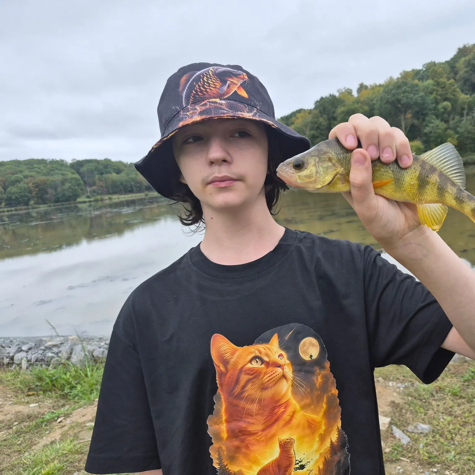Yellow perch caught on Fishbrain