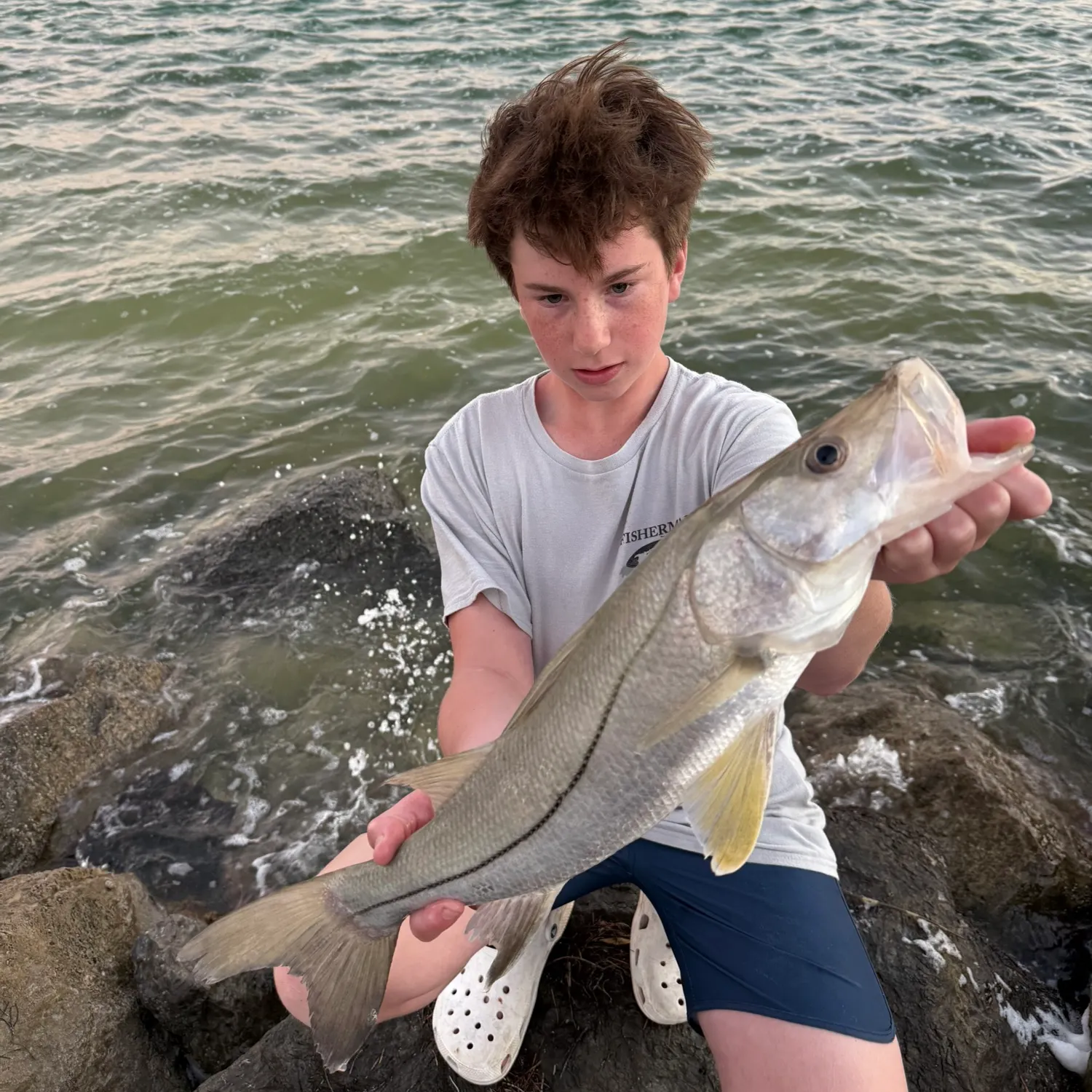 The most recent Common snook catches on Fishbrain