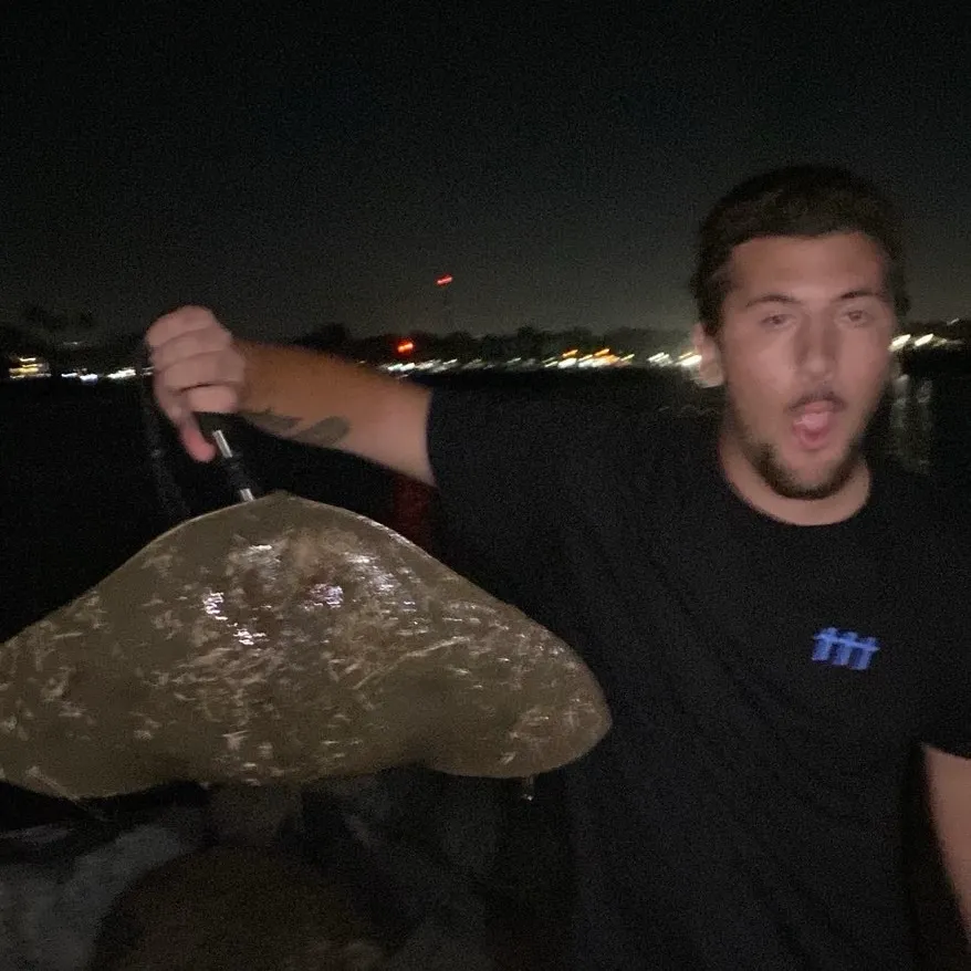 Spiny butterfly ray caught on Fishbrain