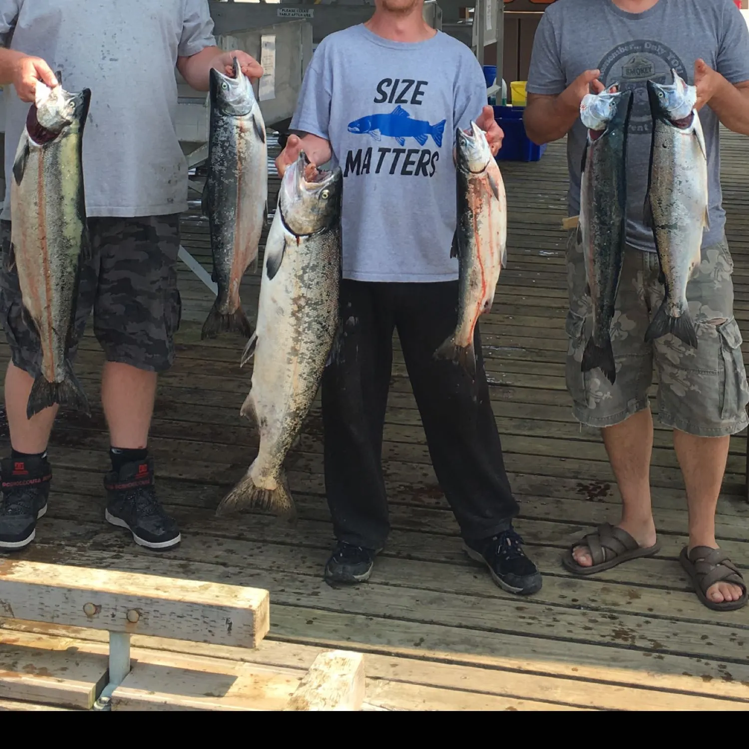 recently logged catches