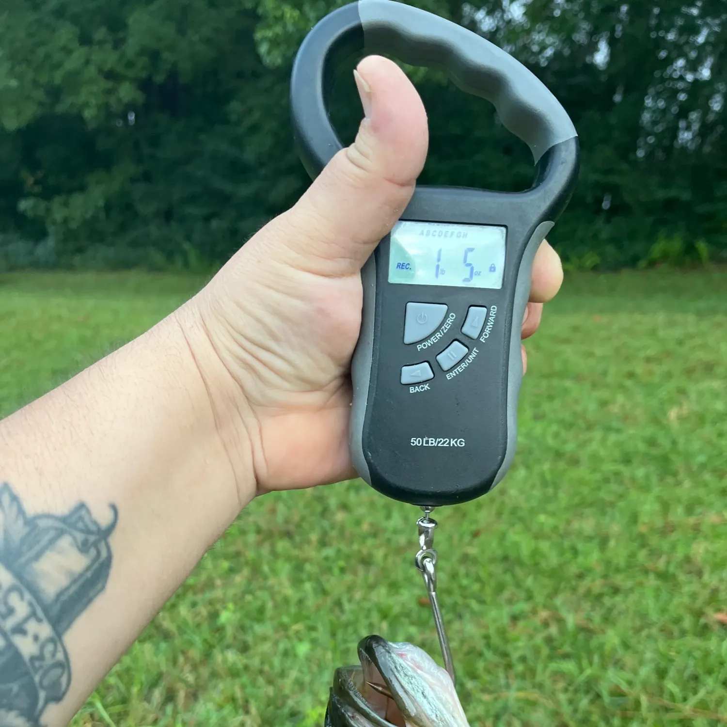 recently logged catches